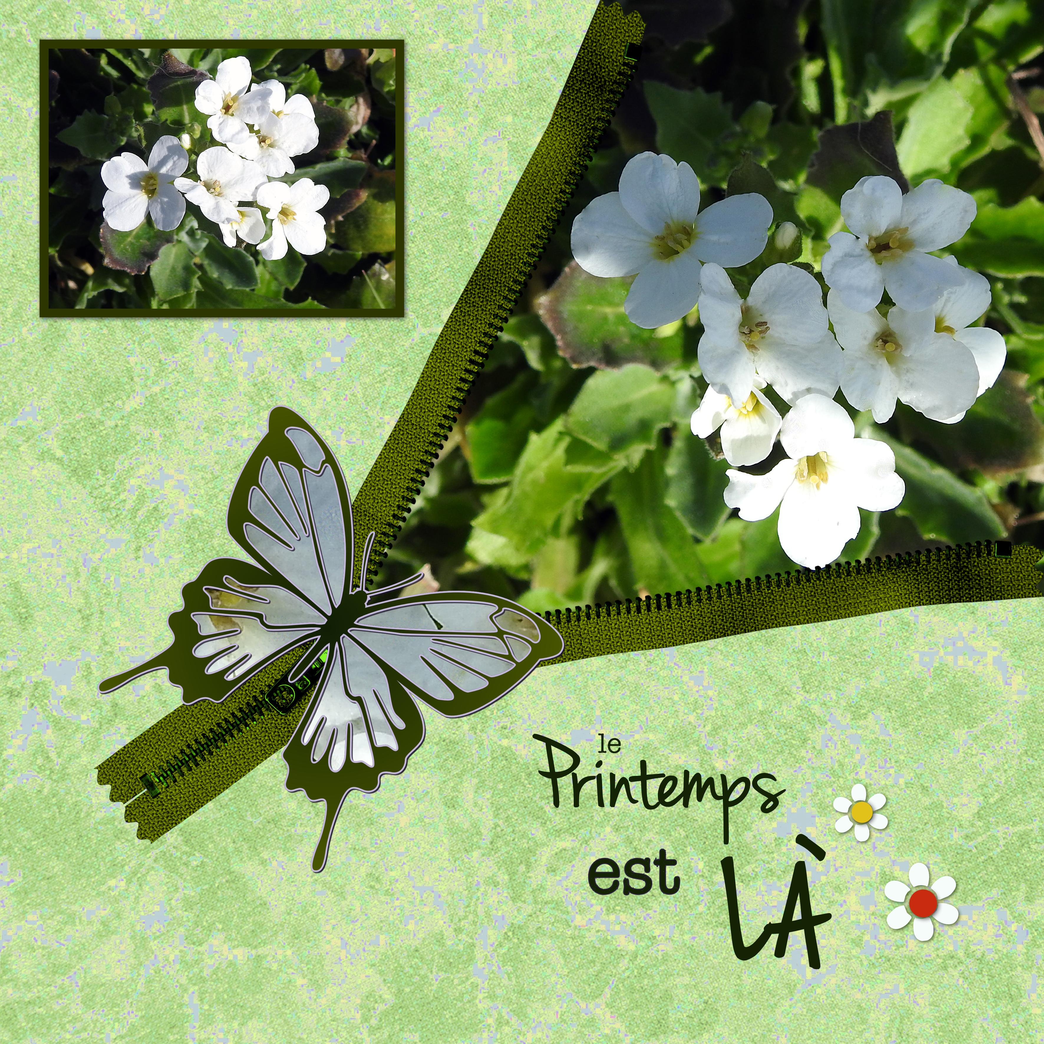 J-n84 - LE PRINTEMPS EST LA.jpg