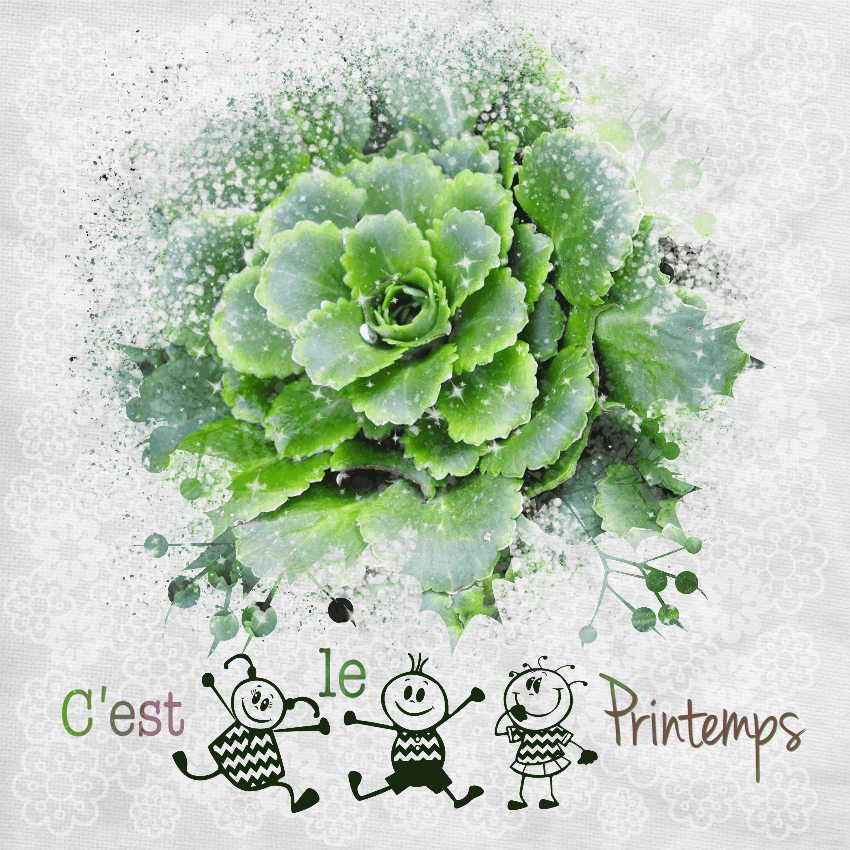 J-n85 - C'EST LE PRINTEMPS.gif