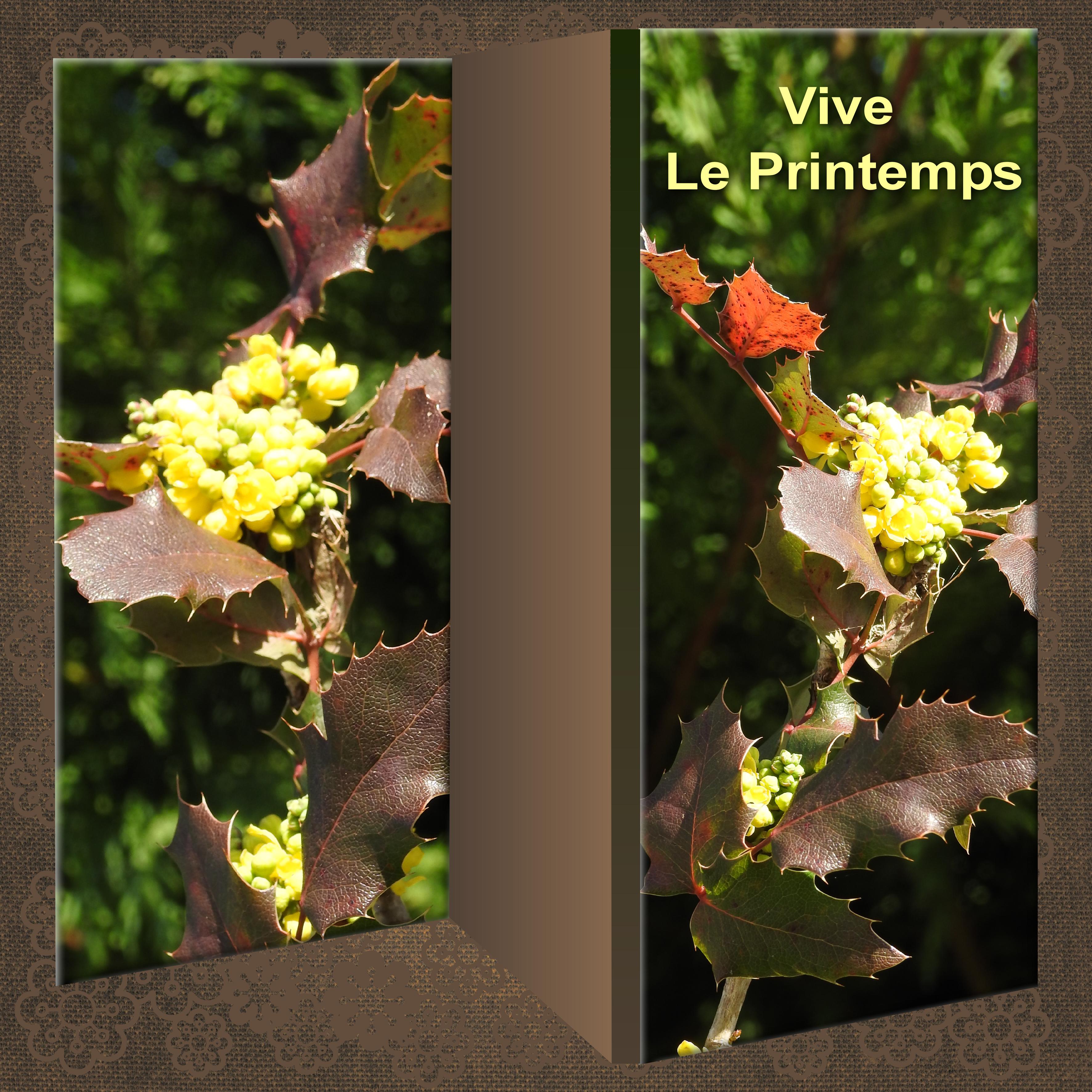 J-n85 - VIVE LE PRINTEMPS.jpg