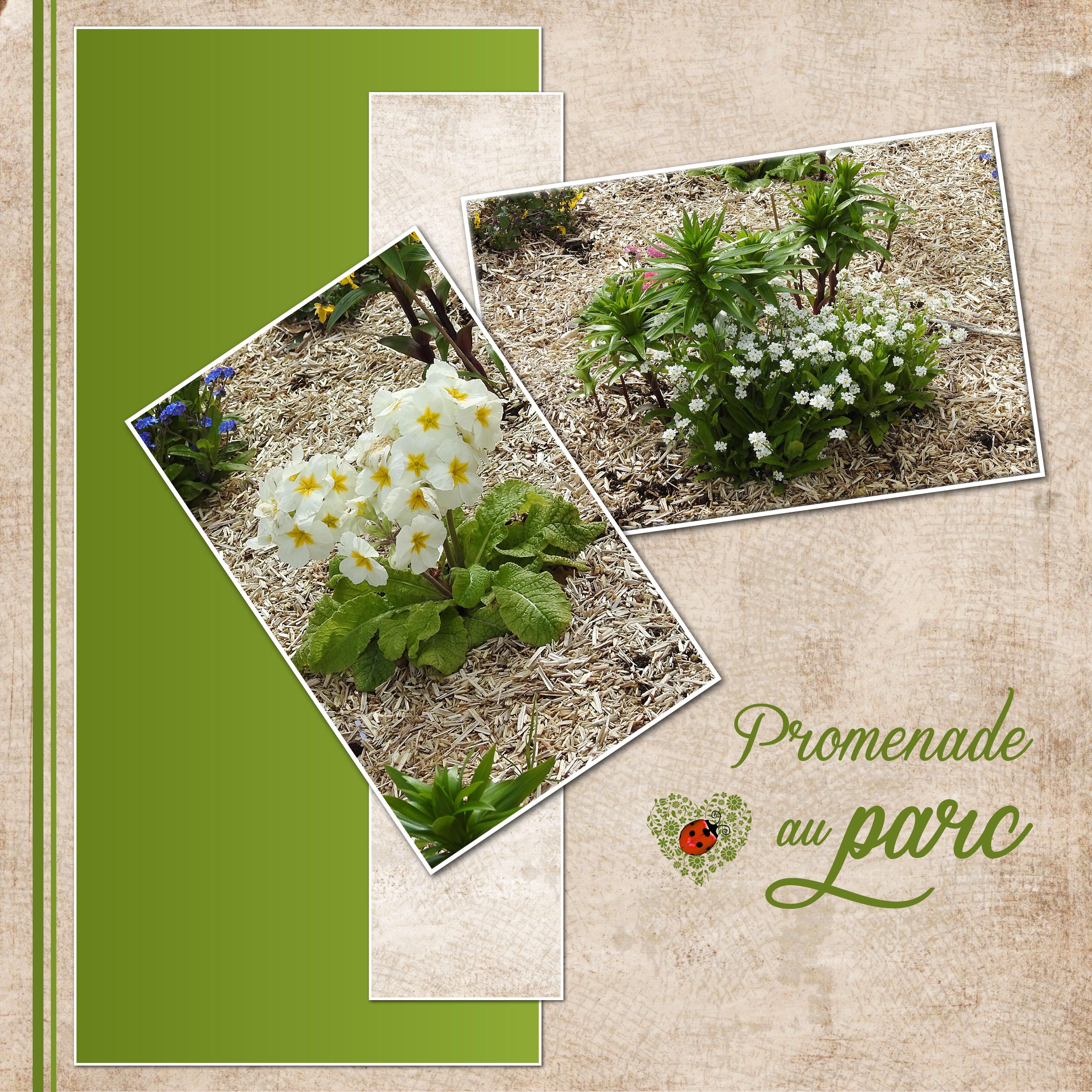 J-n87 - PROMENADE AU PARC.jpg