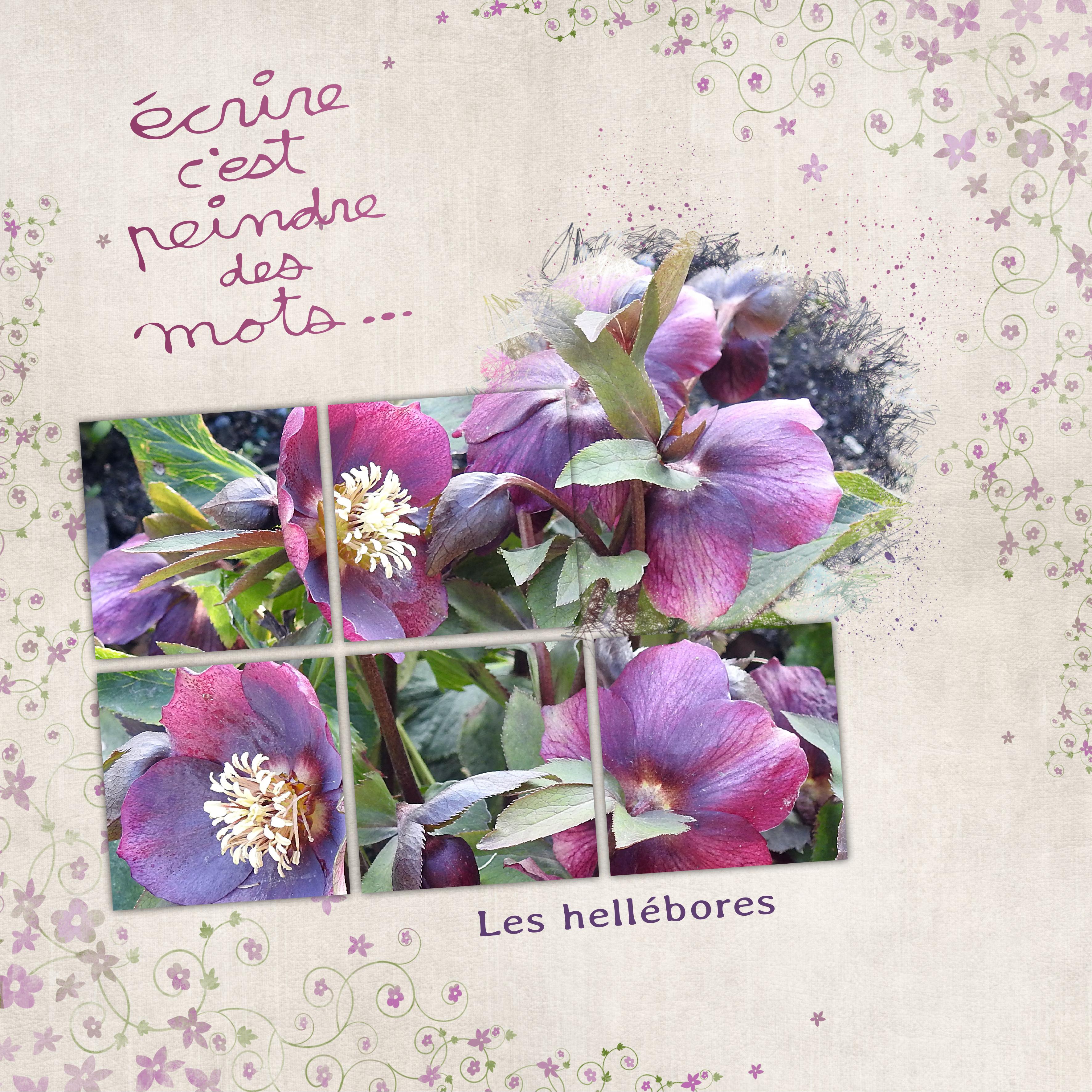 J-n88 - ECRIRE C'EST PEINDRE DES MOTS.jpg