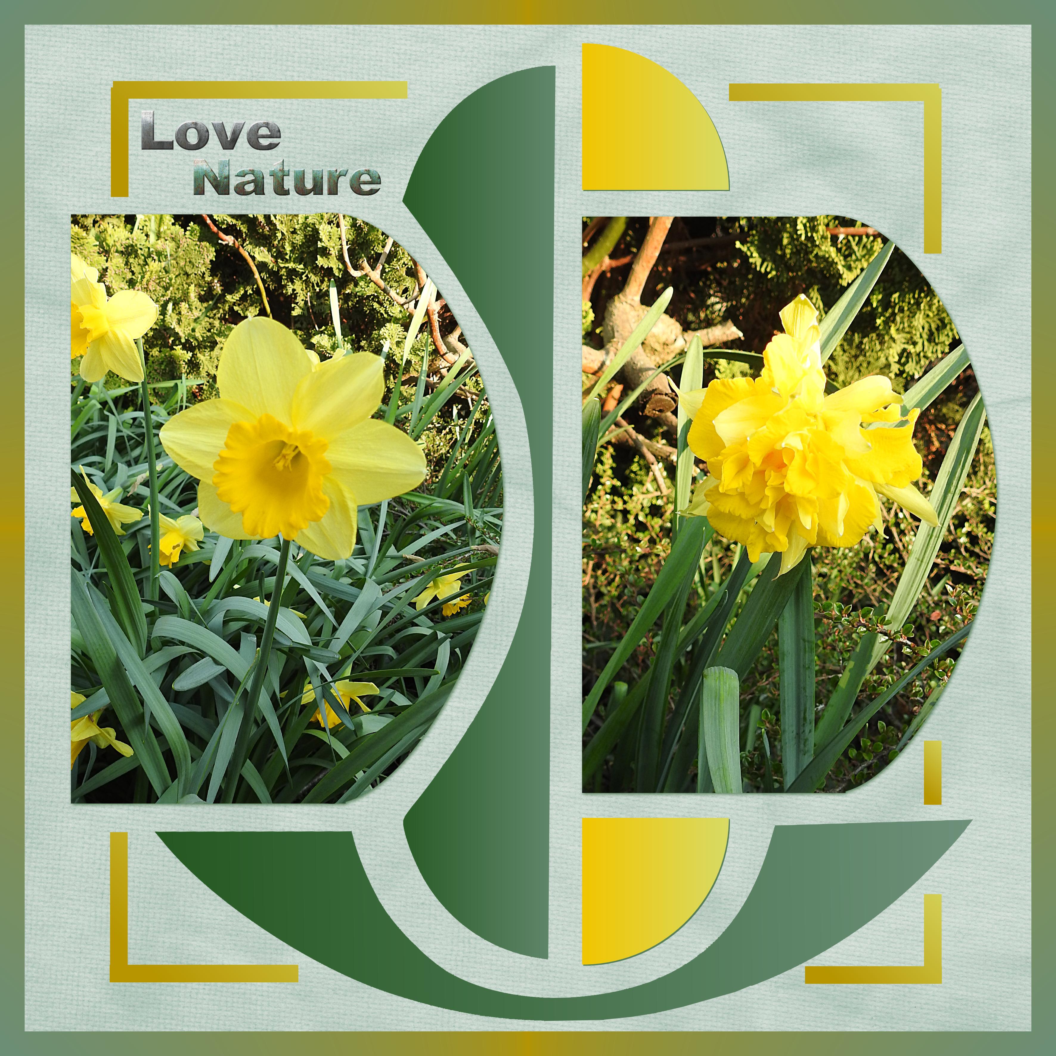 J-n88 - LOVE NATURE.jpg