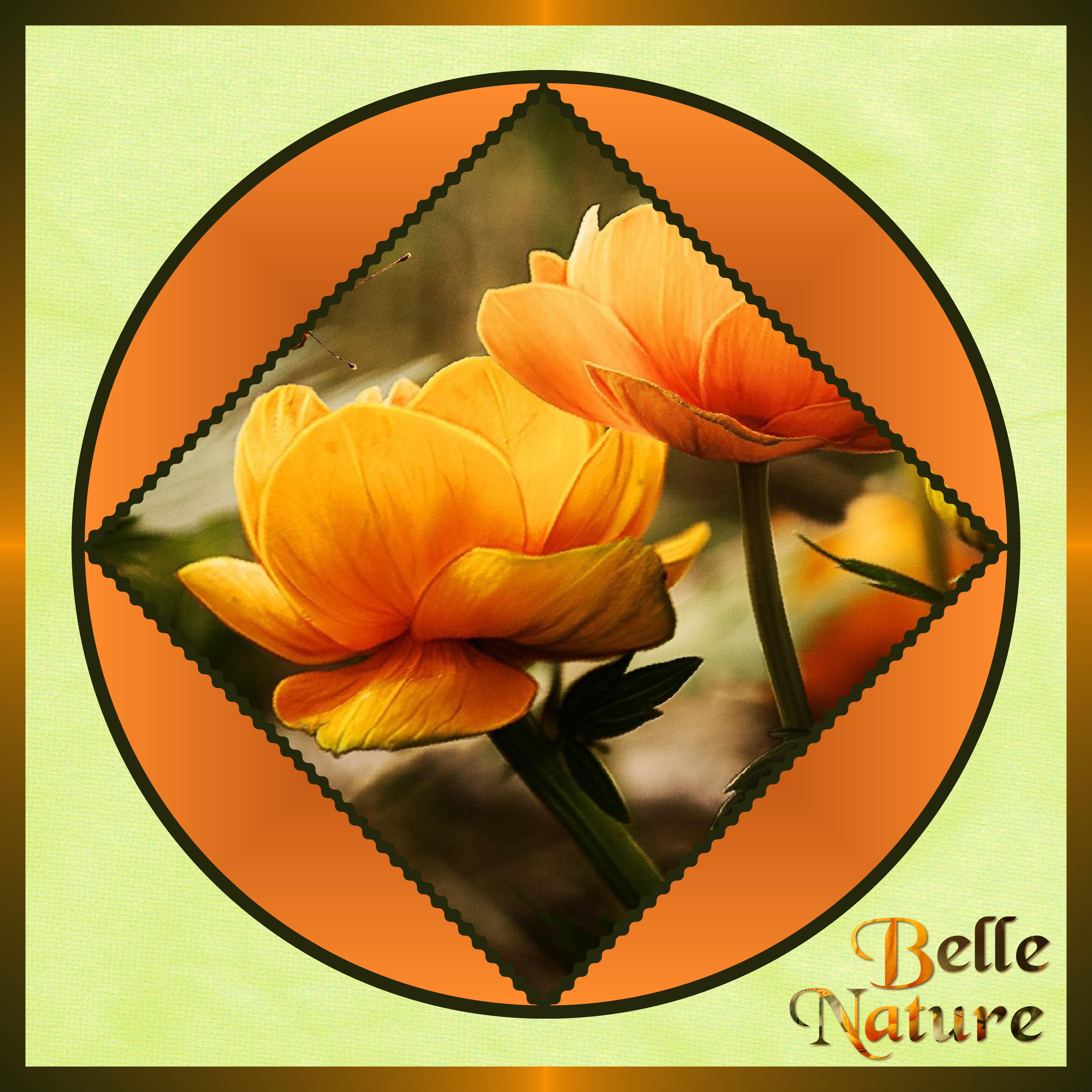 J-n89 - BELLE NATURE.jpg