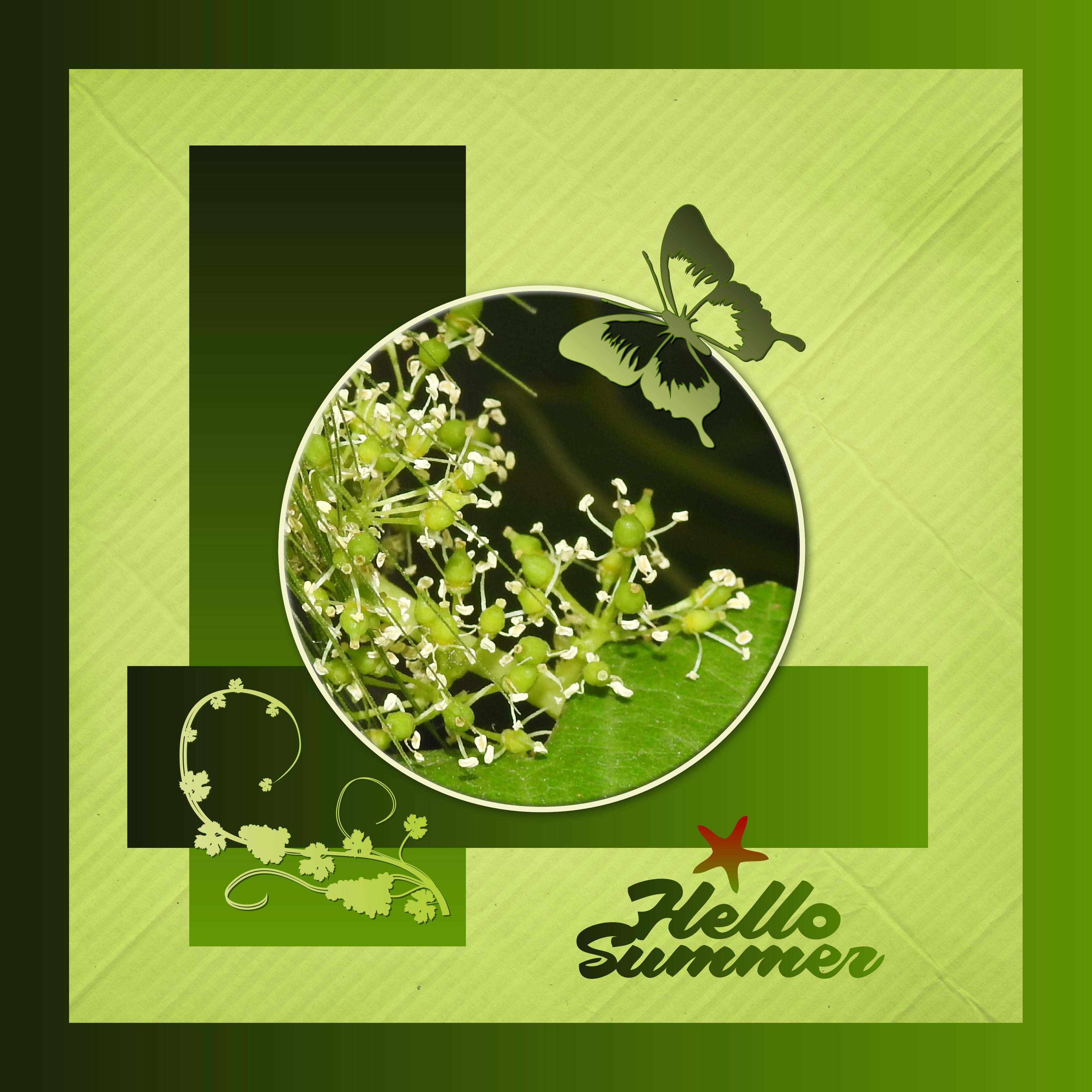 J-n9 - HELLO SUMMER.jpg