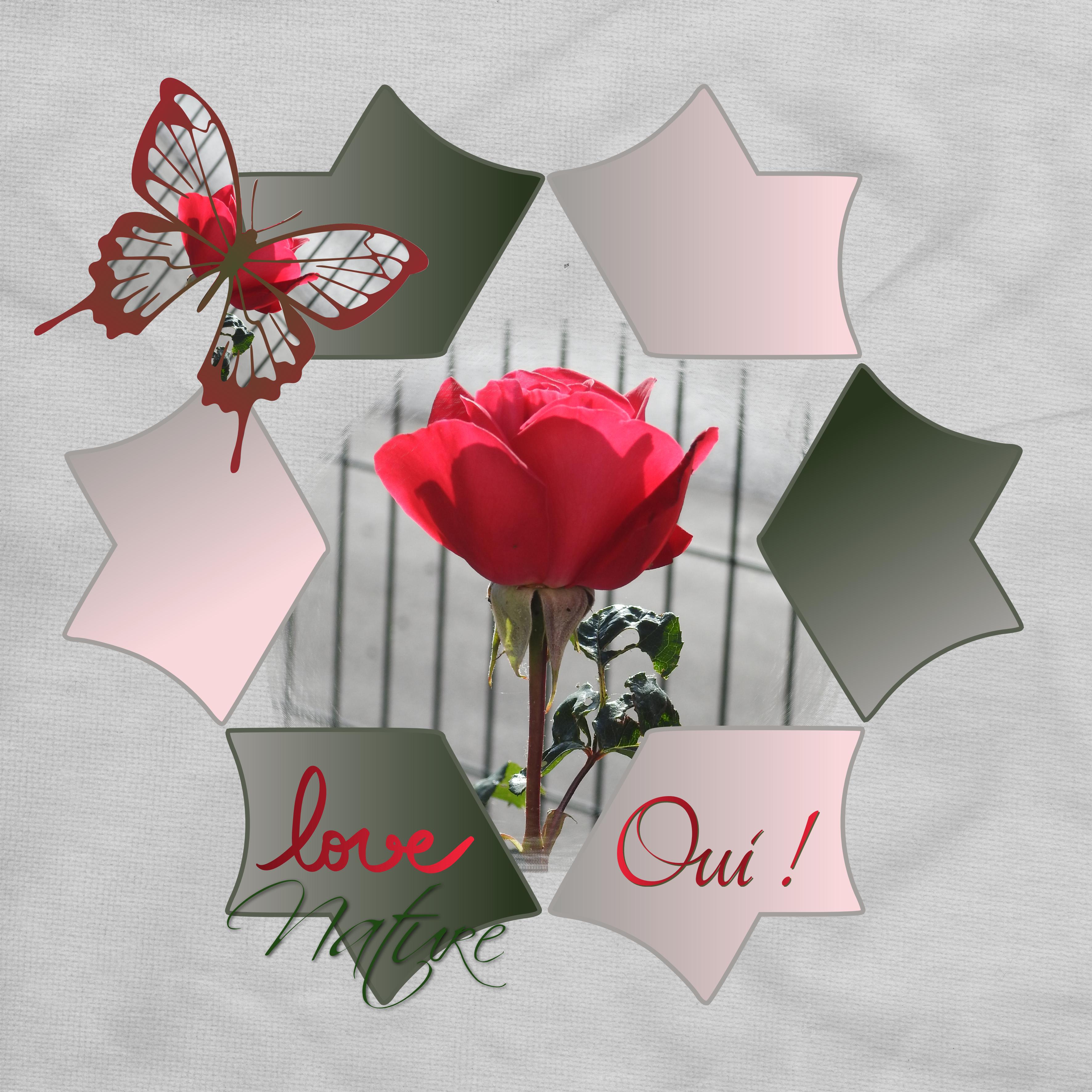 J-n9 - LOVE NATURE-OUI.jpg