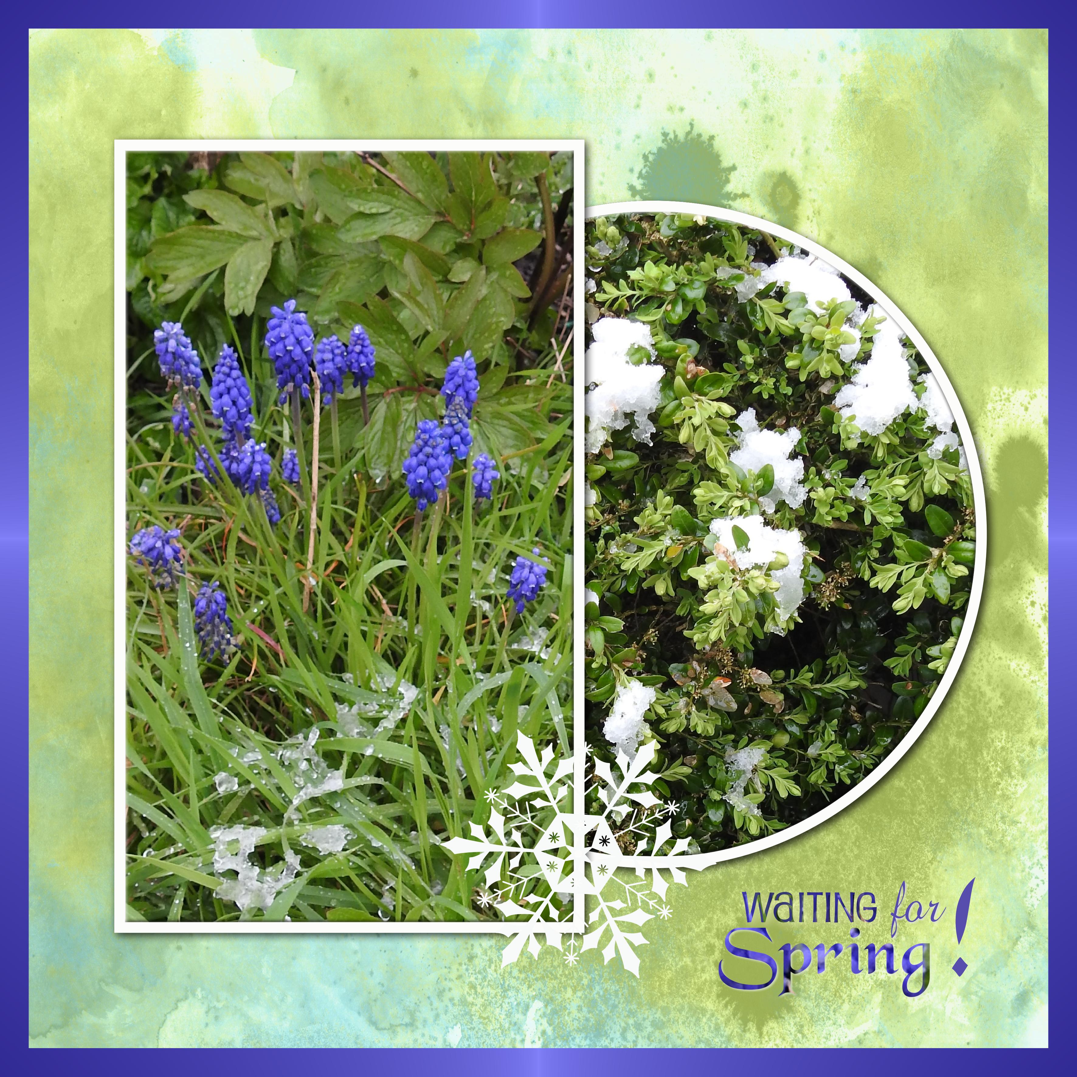 J-n90- WAITING FOR SPRING.jpg