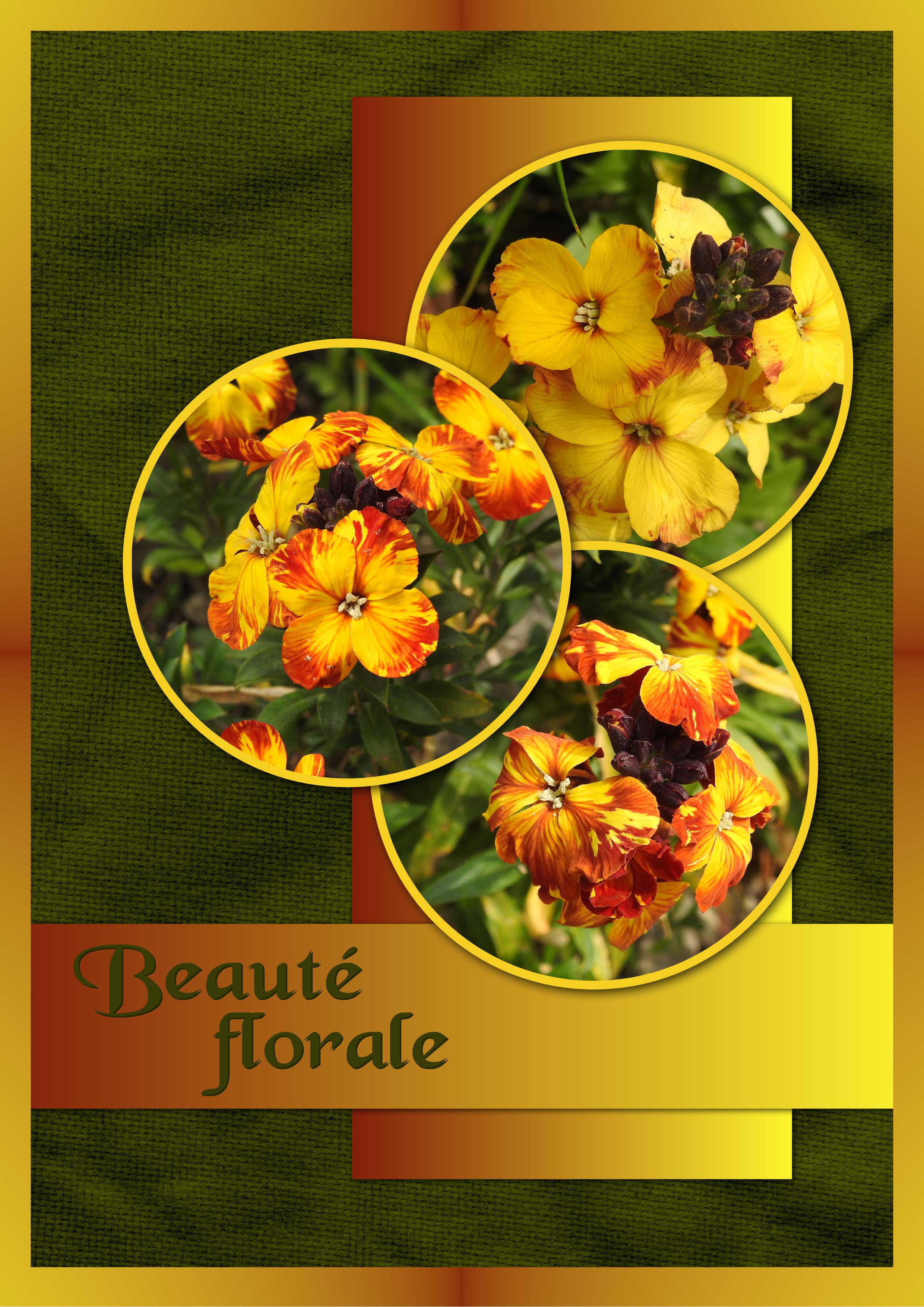 J-n91 - BEAUTE FLORALE.jpg