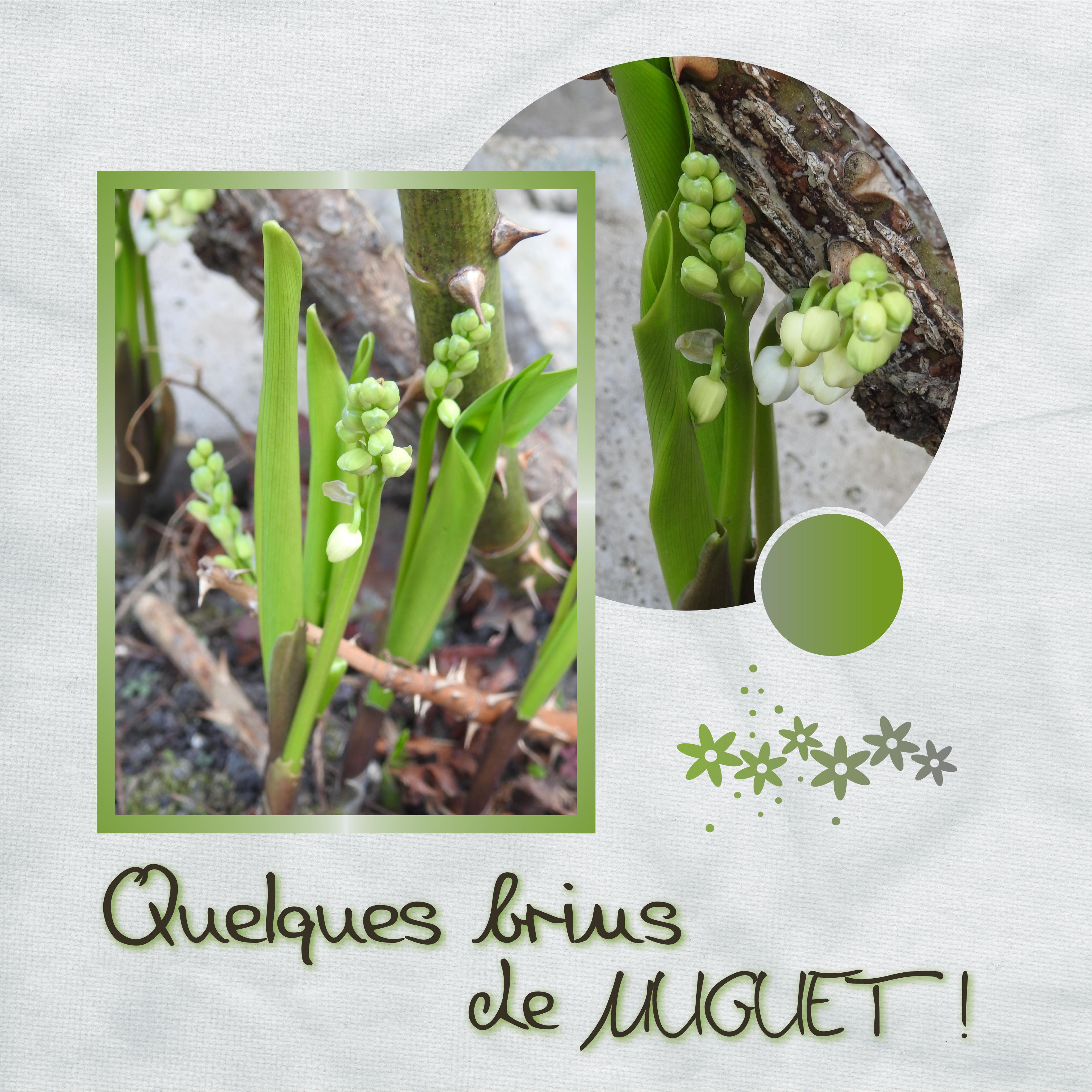 J-n91 - QUELQUES BRINS DE MUGUET.jpg