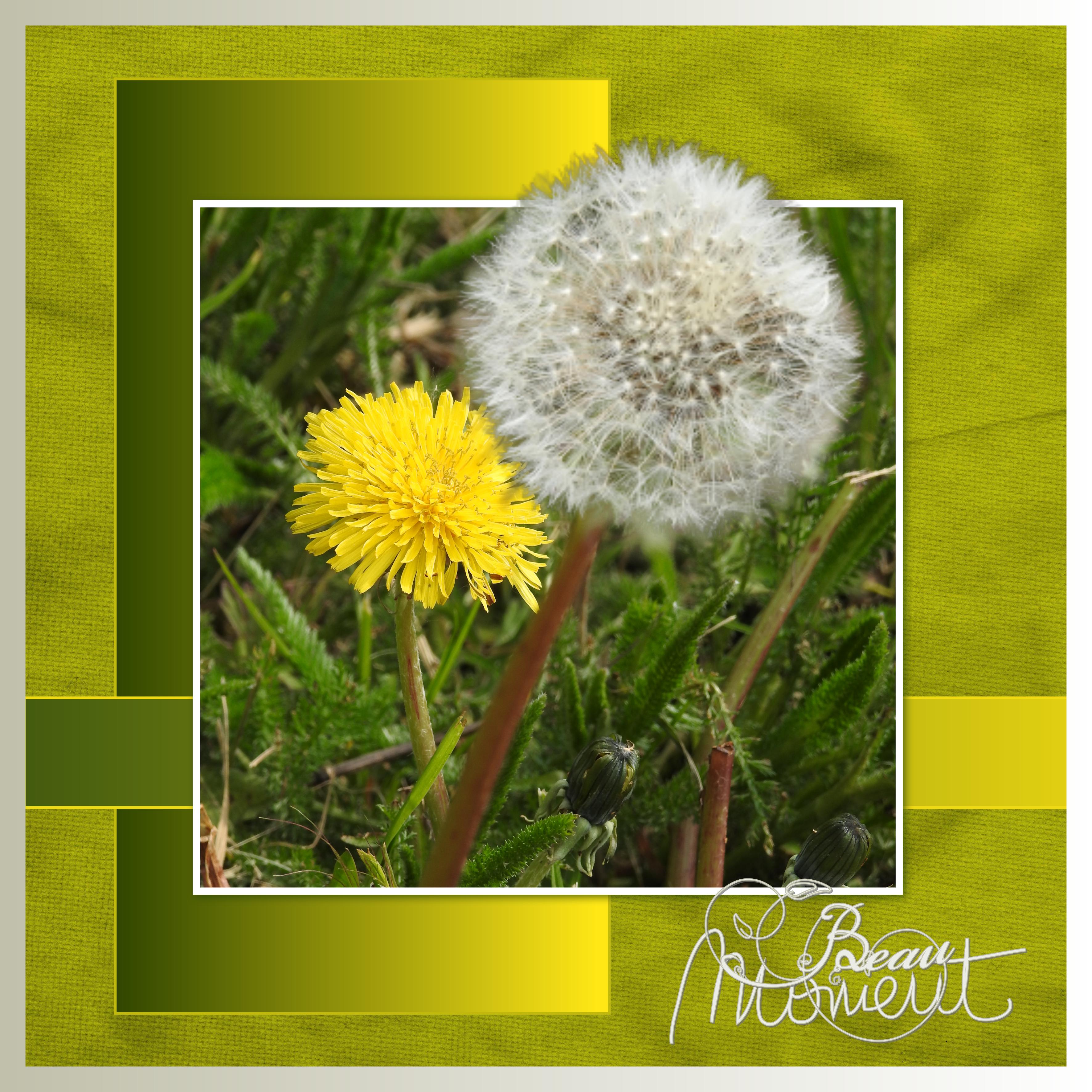 J-n92 - BEAU MOMENT.jpg