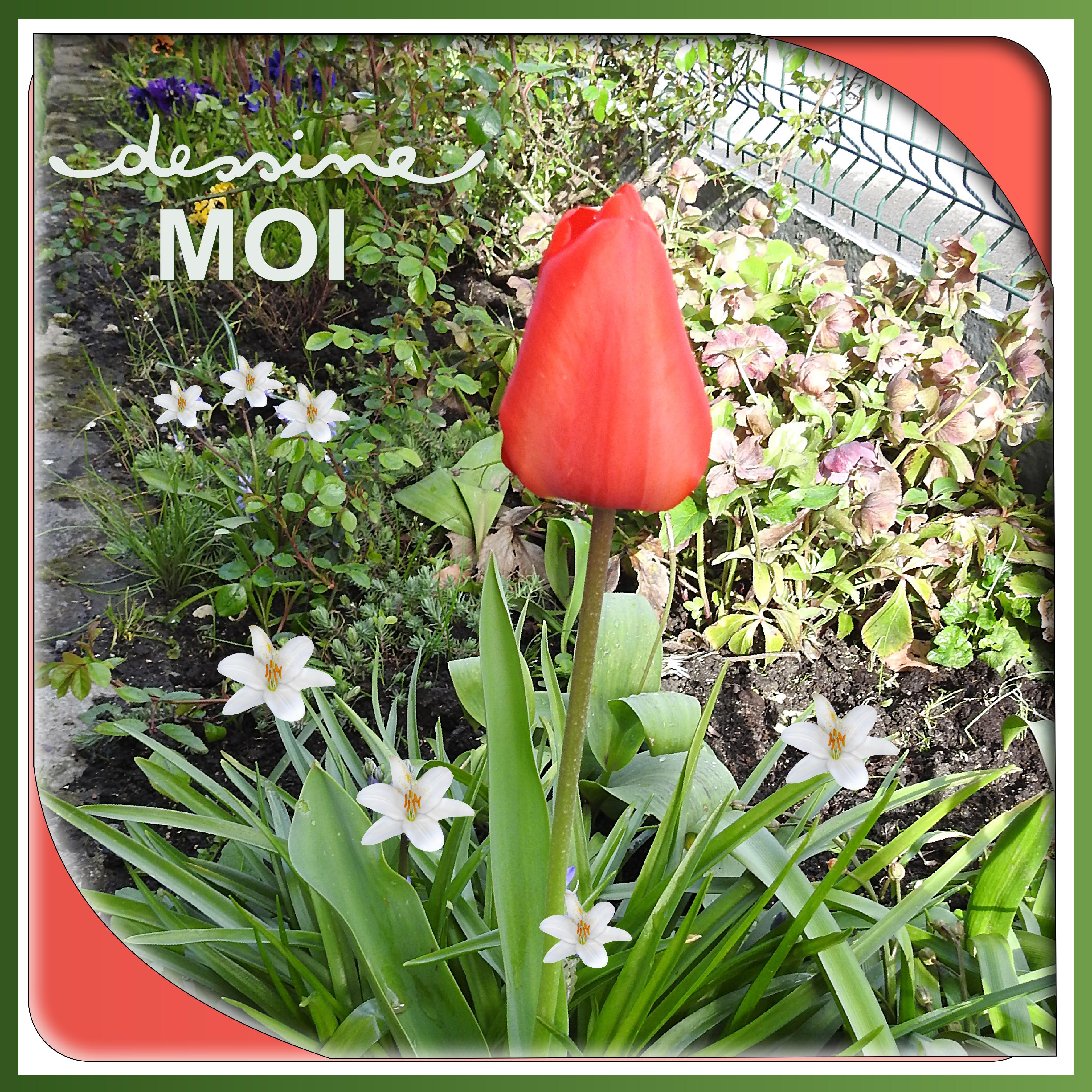 J-n92 - DESSINE MOI.jpg