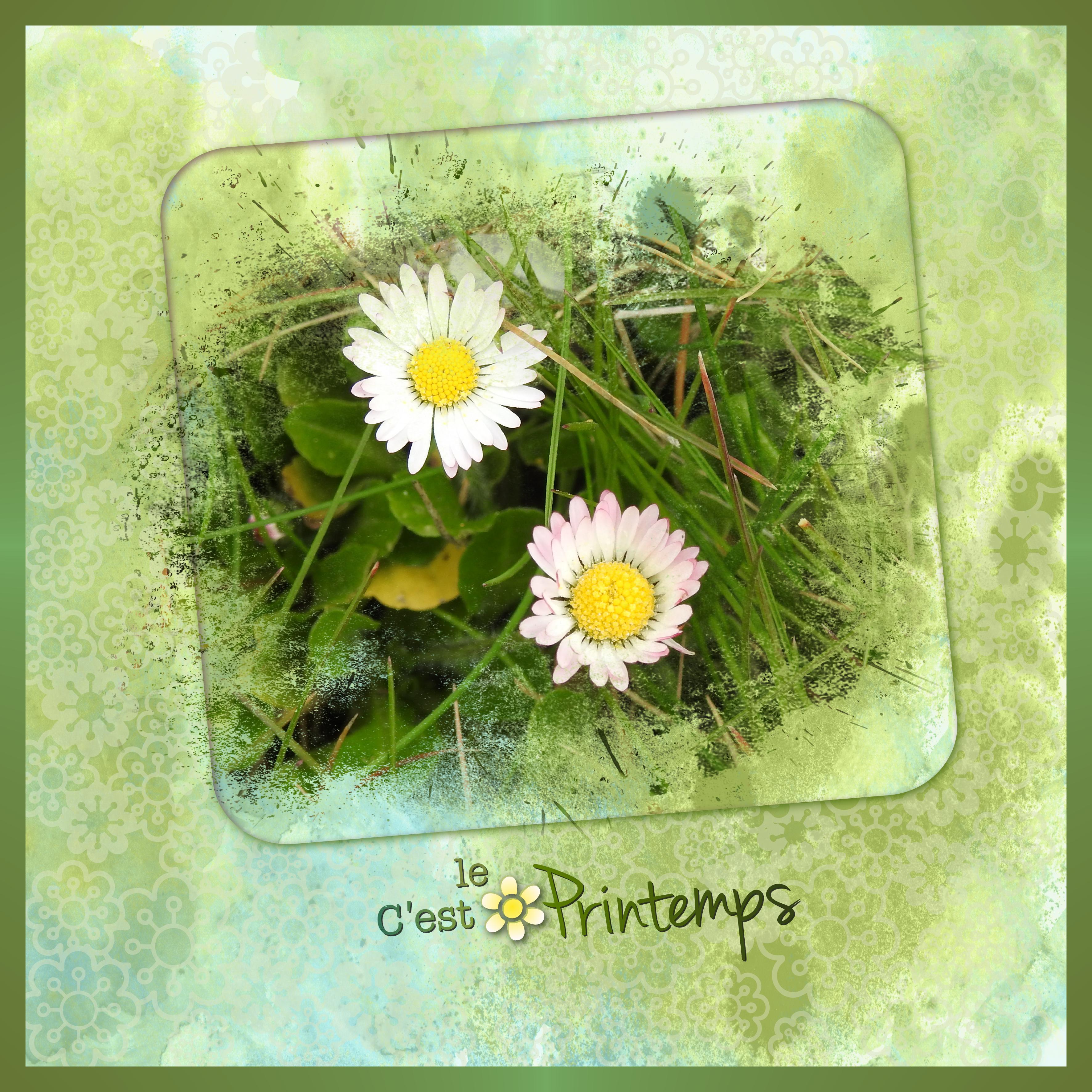 J-n93- C'EST LE PRINTEMPS.jpg