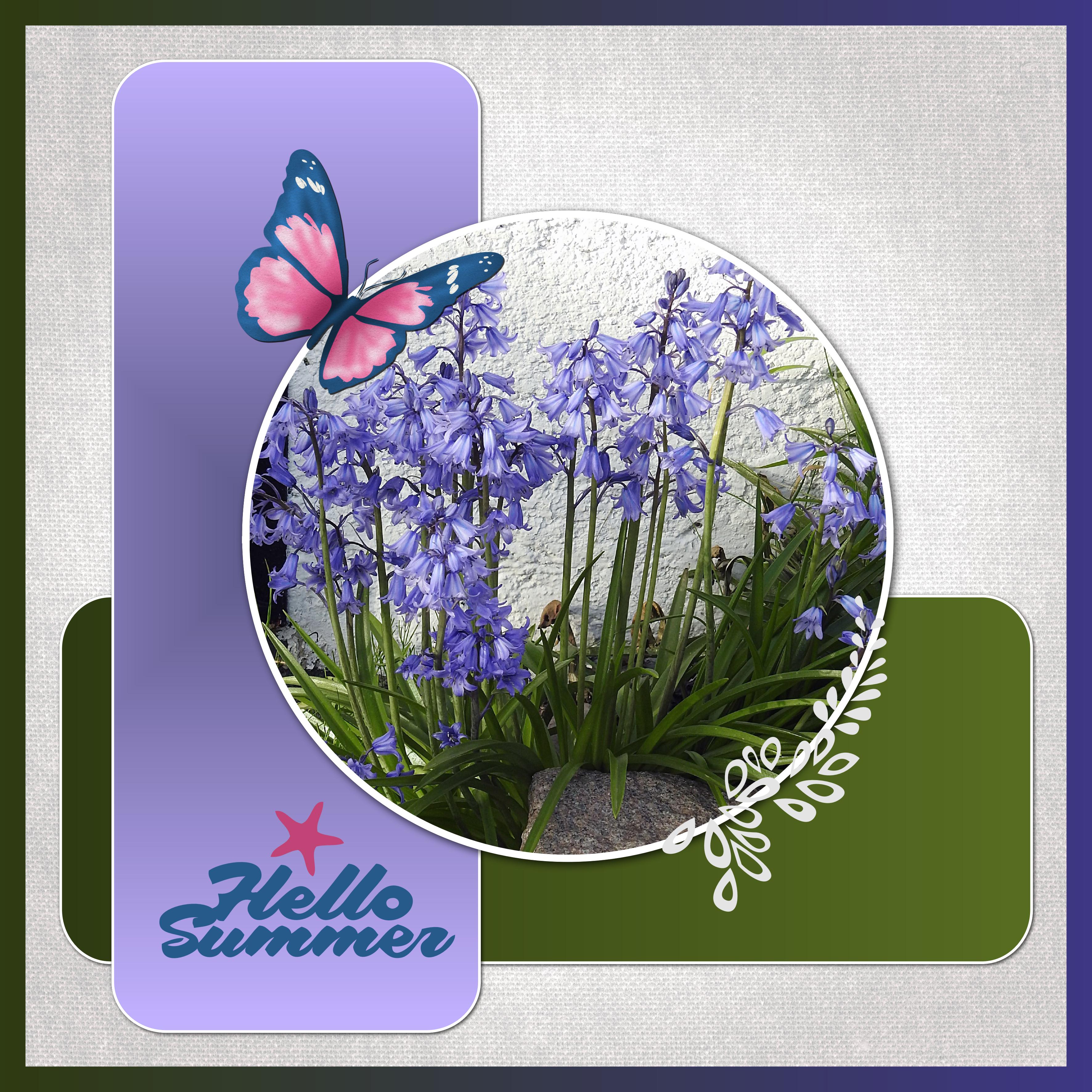 J-n94 - HELLO SUMMER.jpg