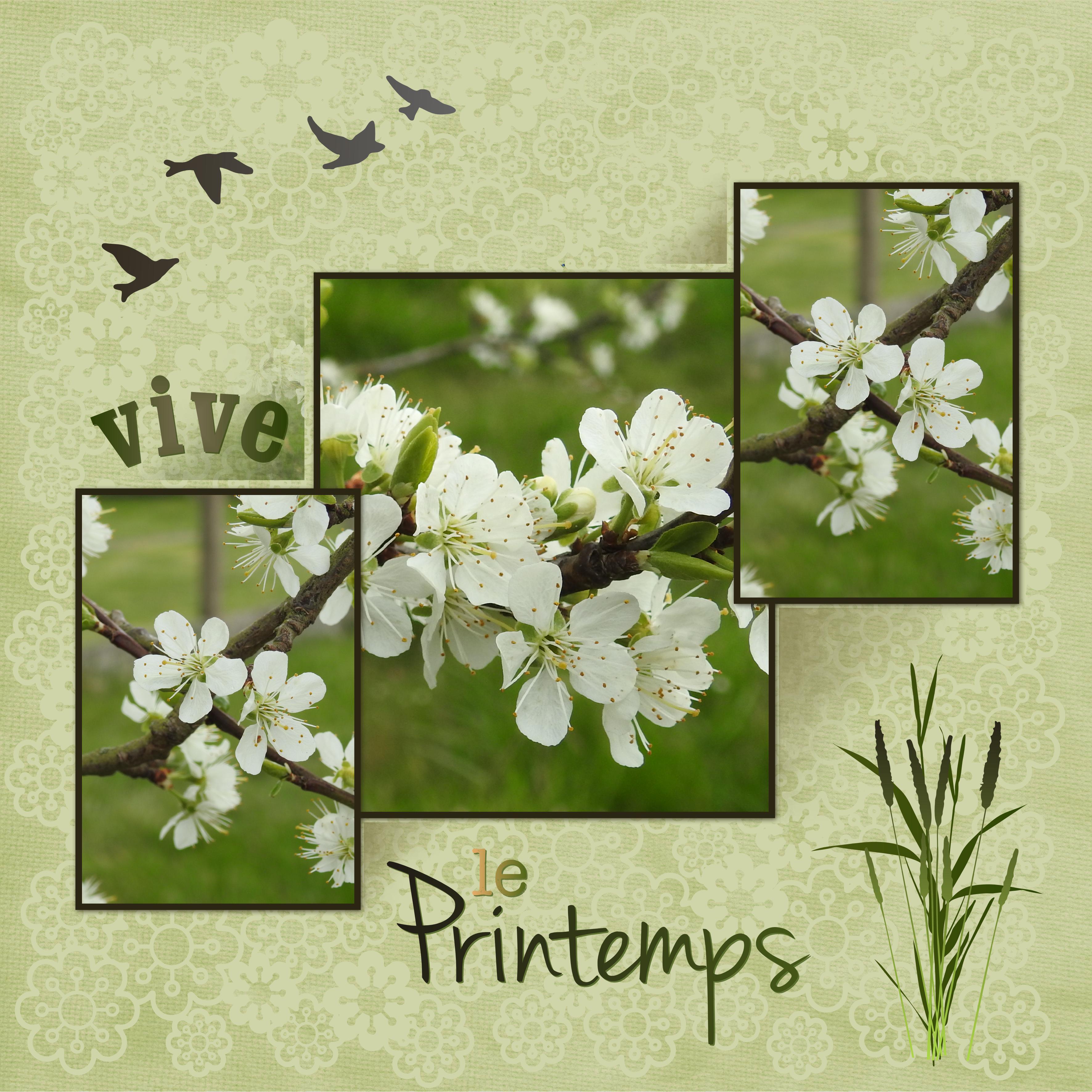 J-n95 - VIVE LE PRINTEMPS.jpg
