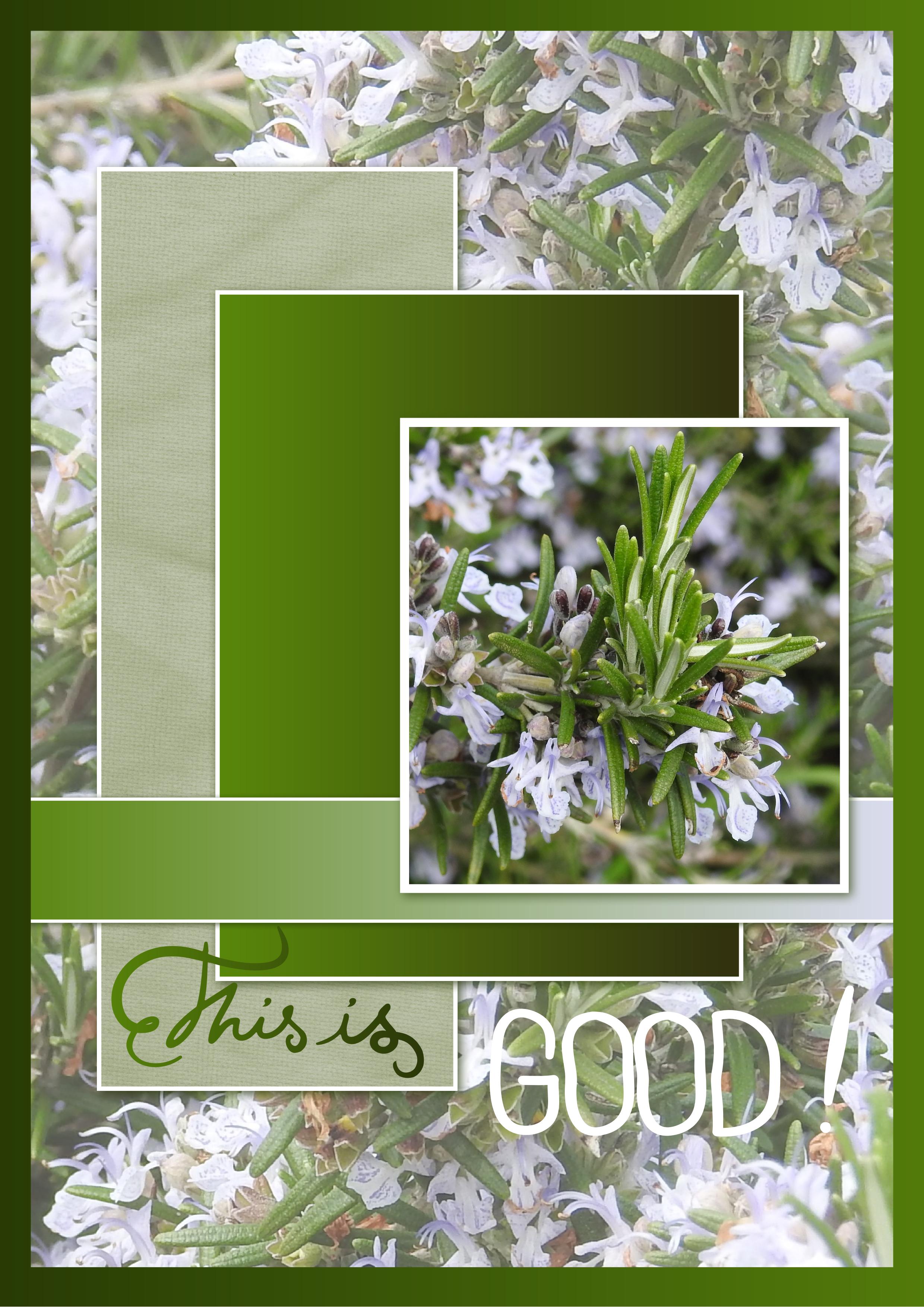 J-n96 - THIS IS GOOD.jpg