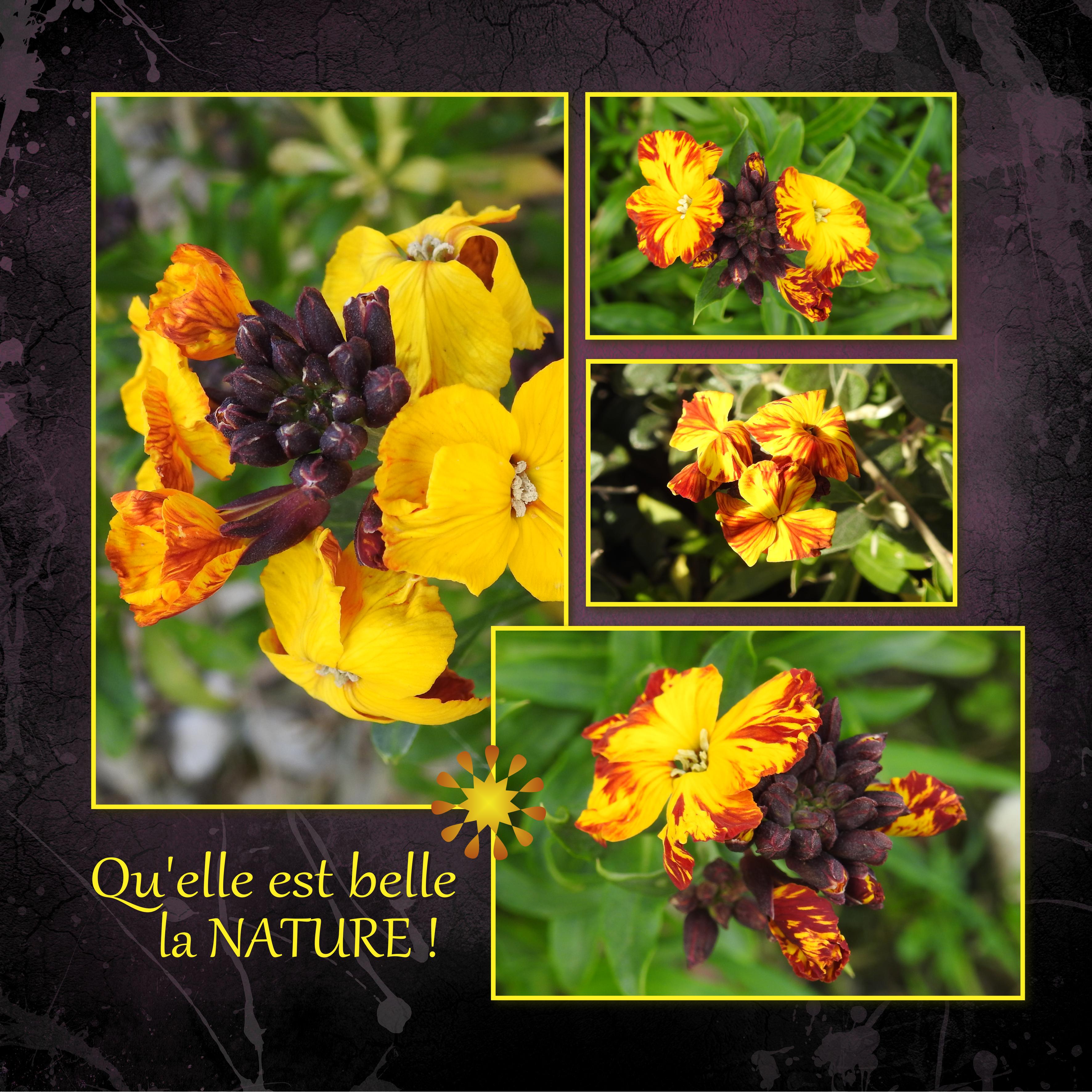 J-n97 - QU'ELLE EST BELLE LA NATURE.jpg