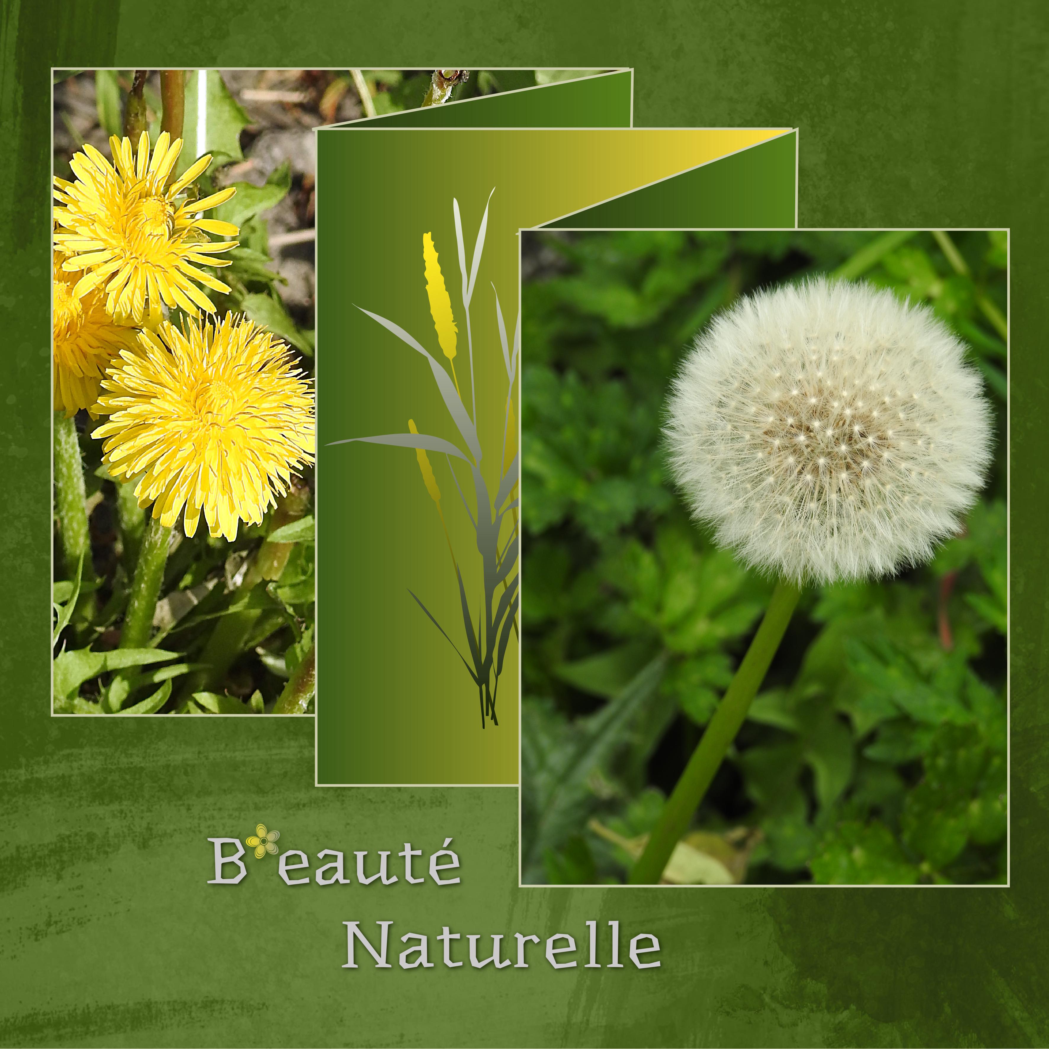 J-n98 - BEAUTE FLORALE.jpg