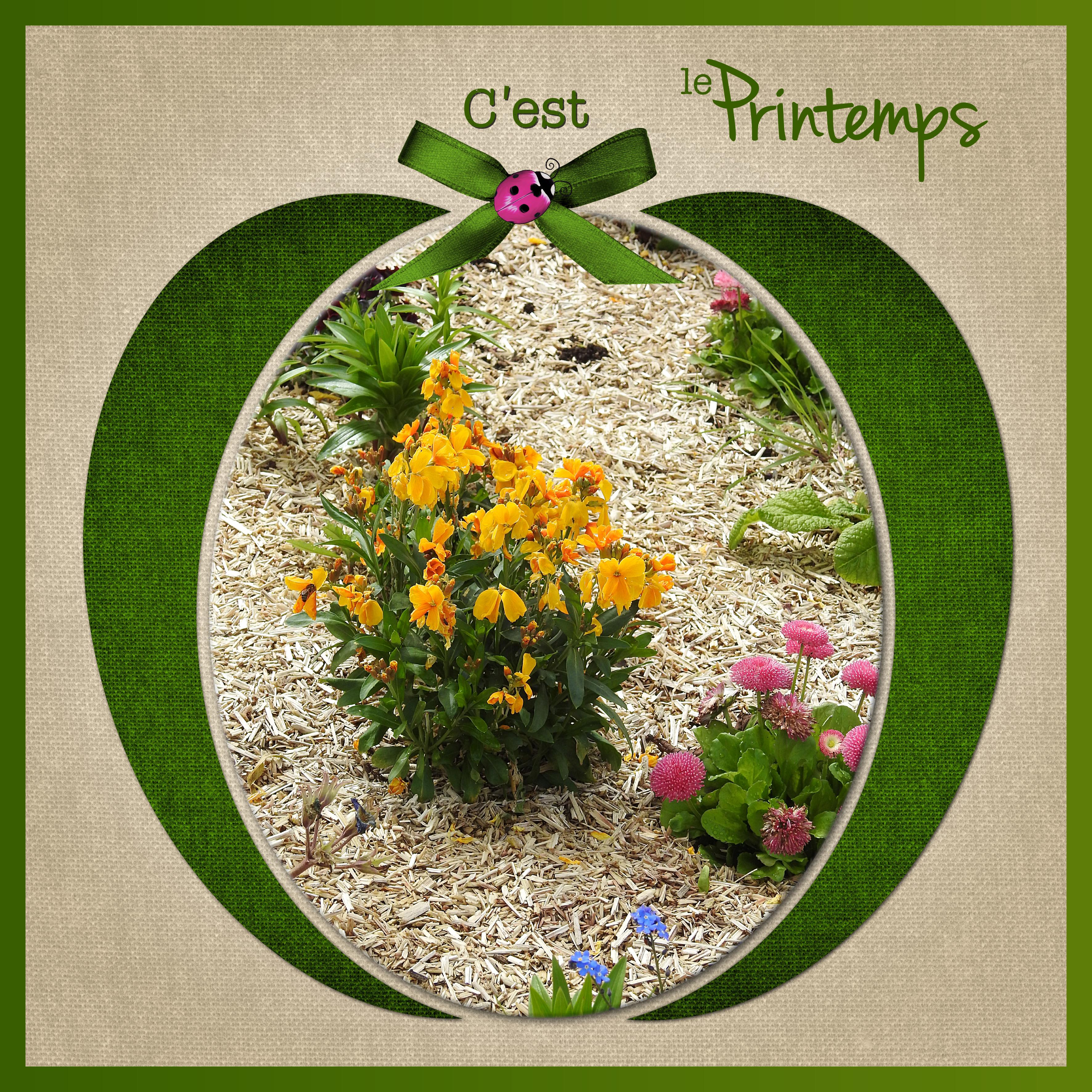 j-n99 - C'EST LE PRINTEMPS.jpg