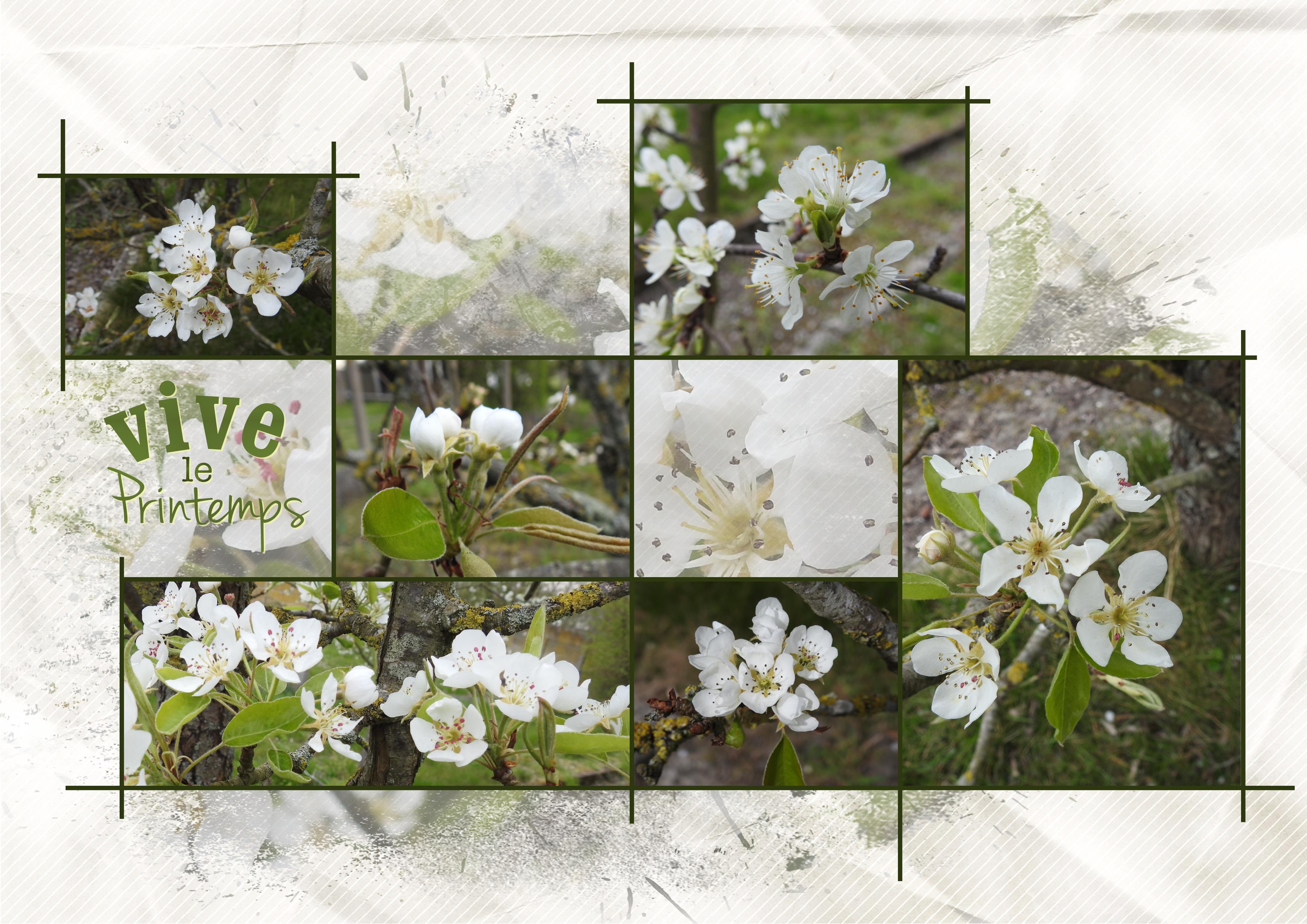 J-n99 - VIVE LE PRINTEMPS.jpg