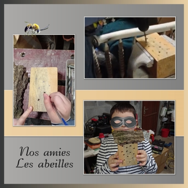 J - NOS AMIES LES ABEILLES.jpg