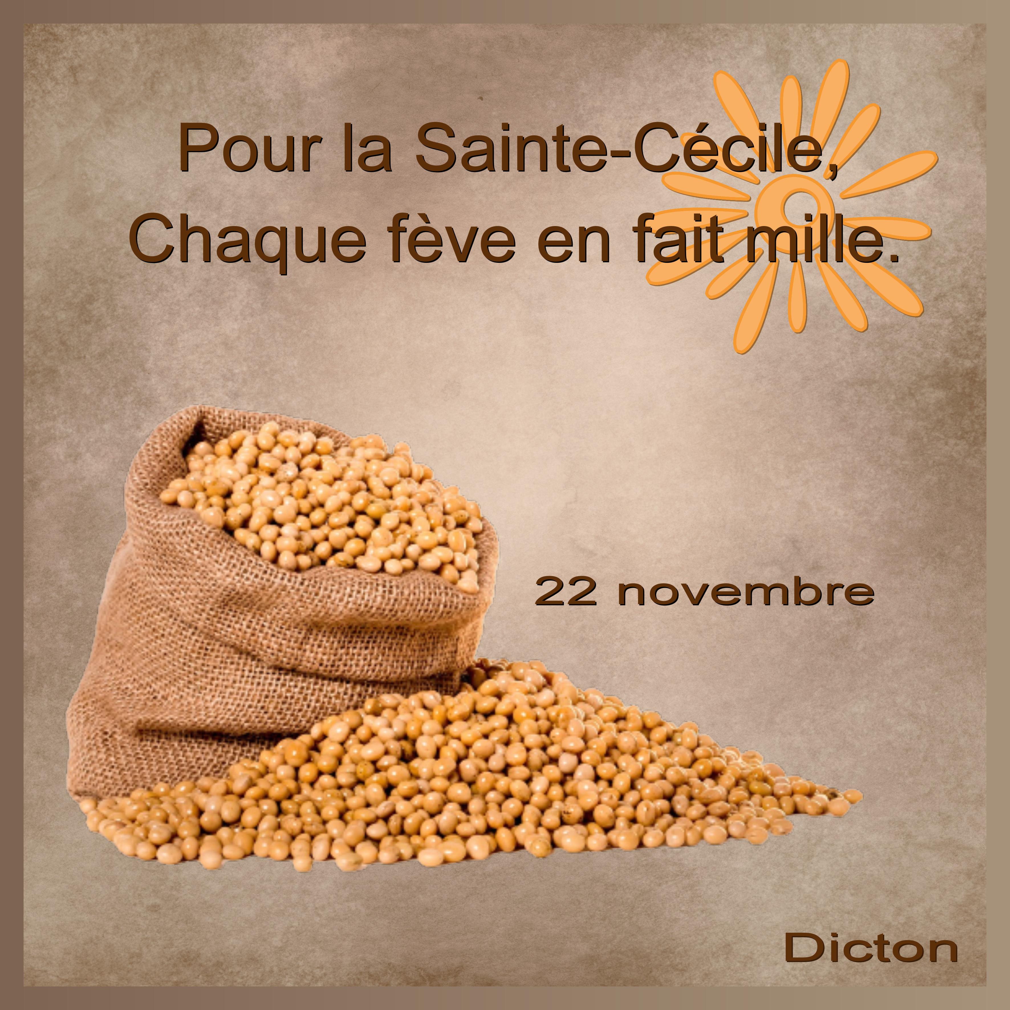 J - POUR LA SAINTE-CECILE.jpg