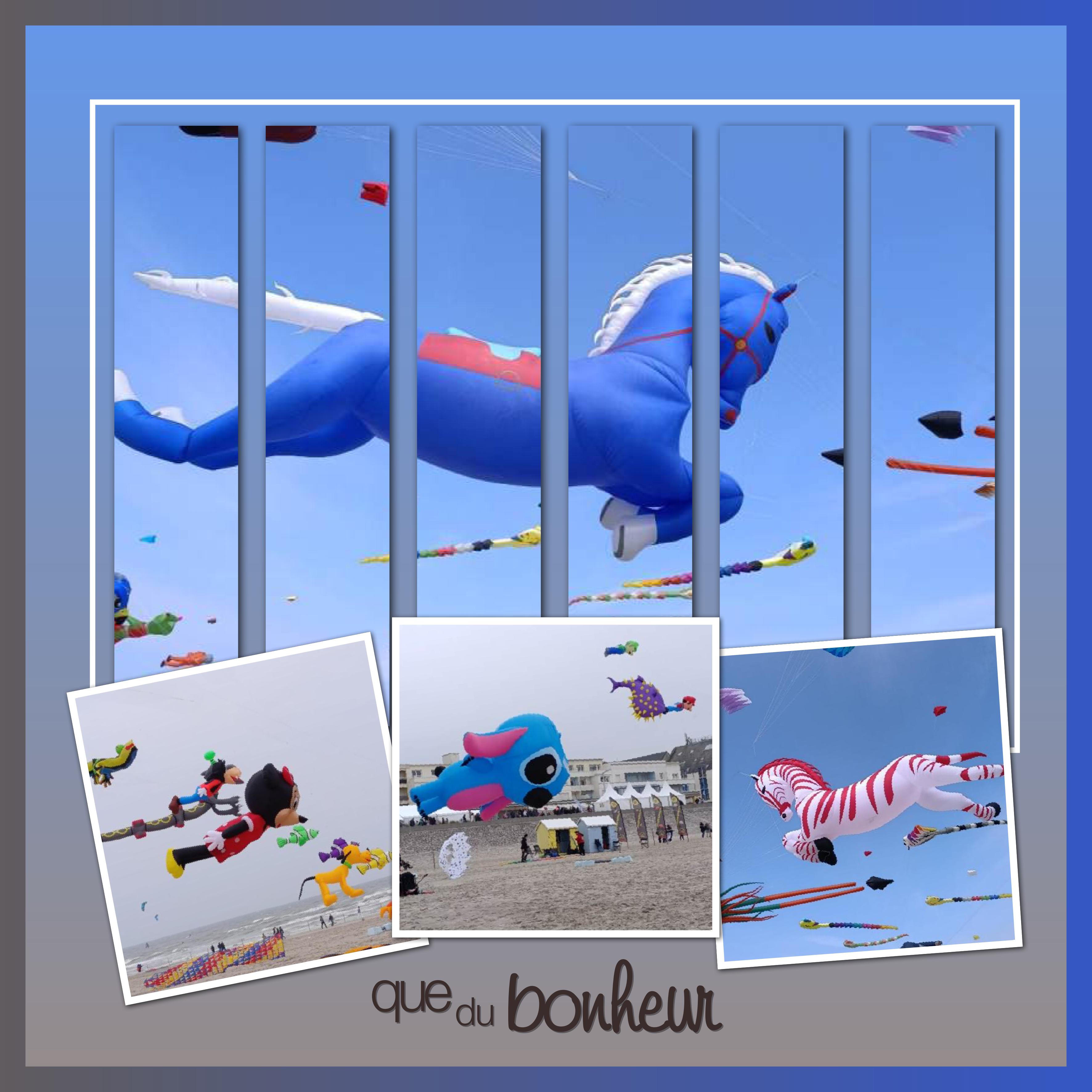 J - QUE DU BONHEUR.jpg
