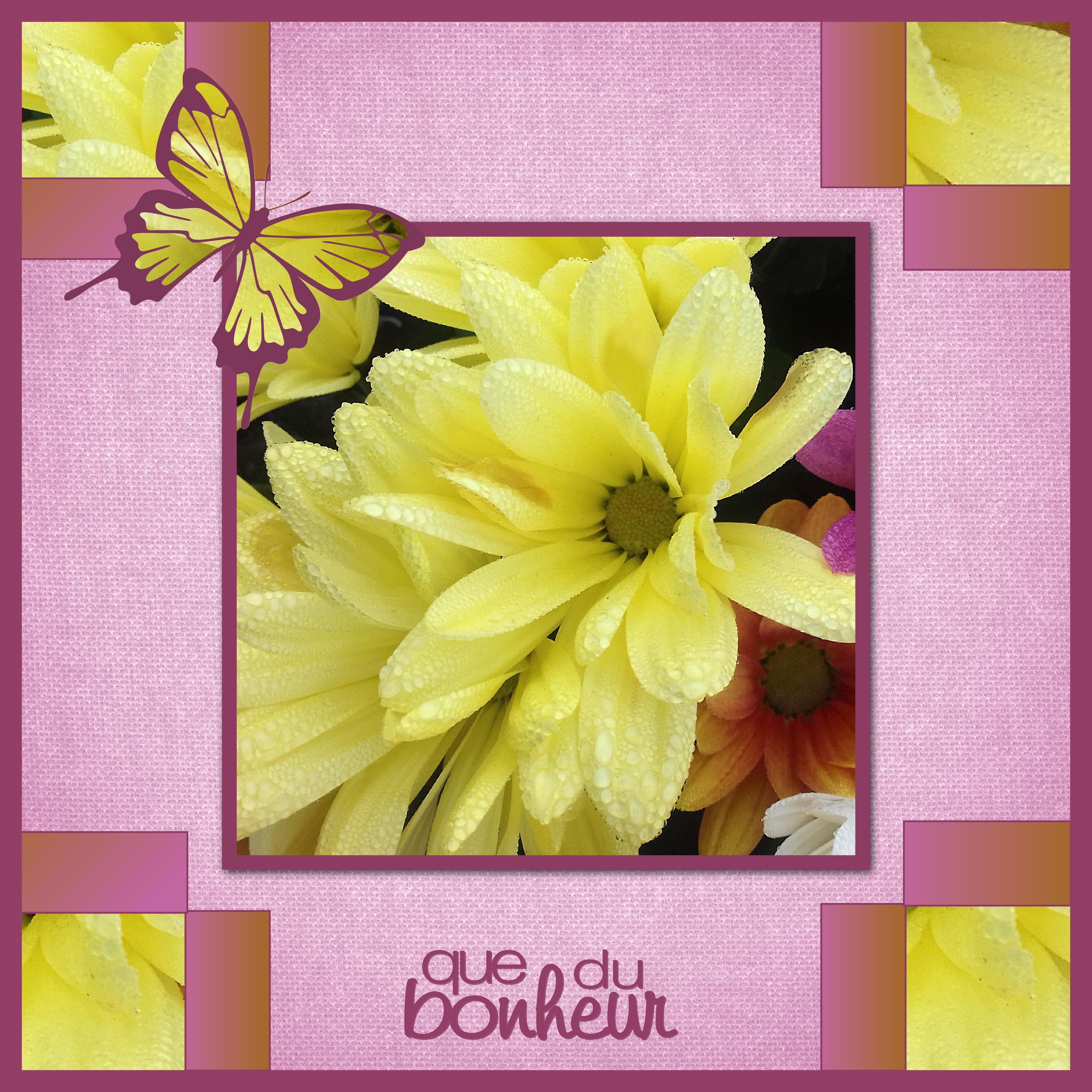 J - QUE DU BONHEUR.jpg