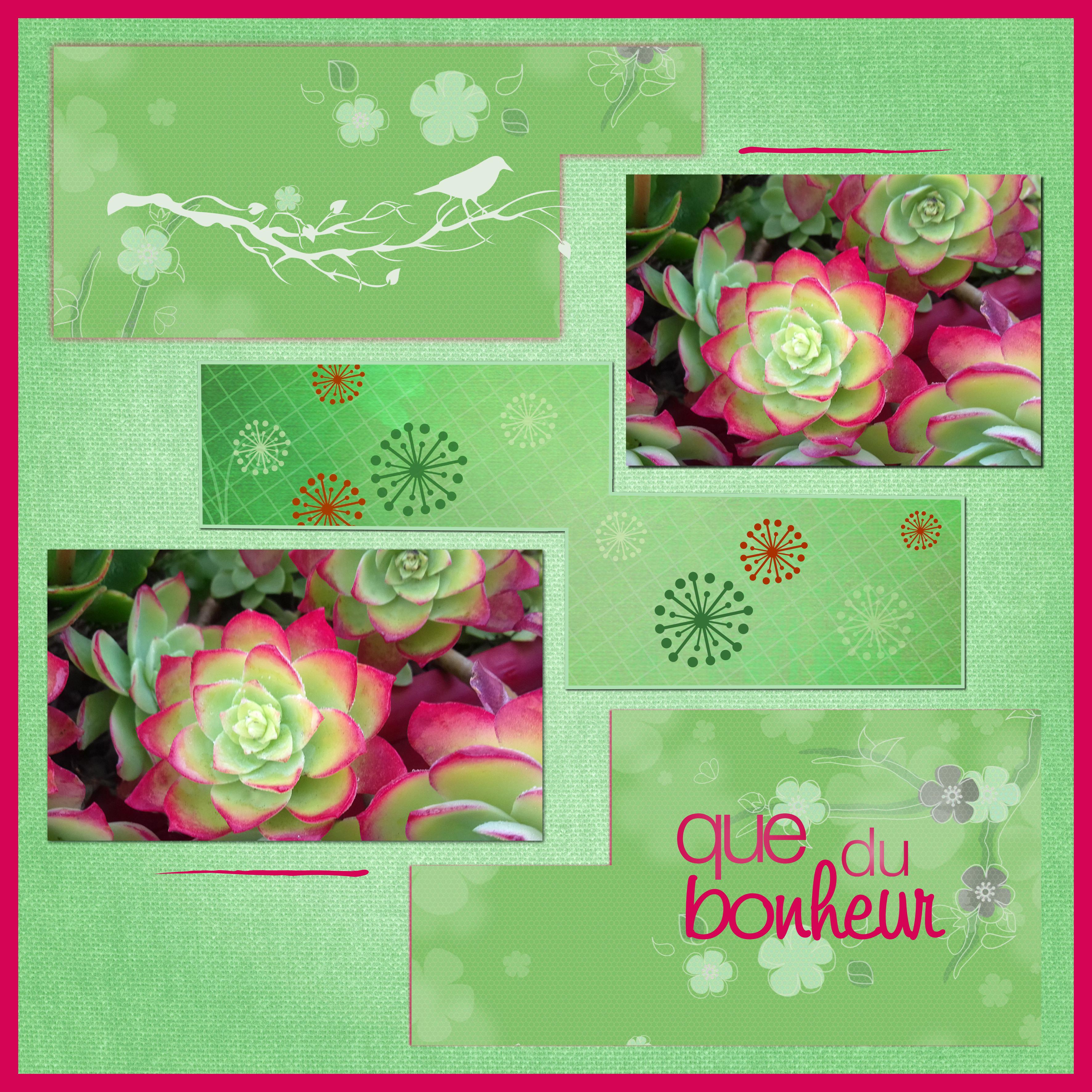 J - QUE DU BONHEUR.jpg