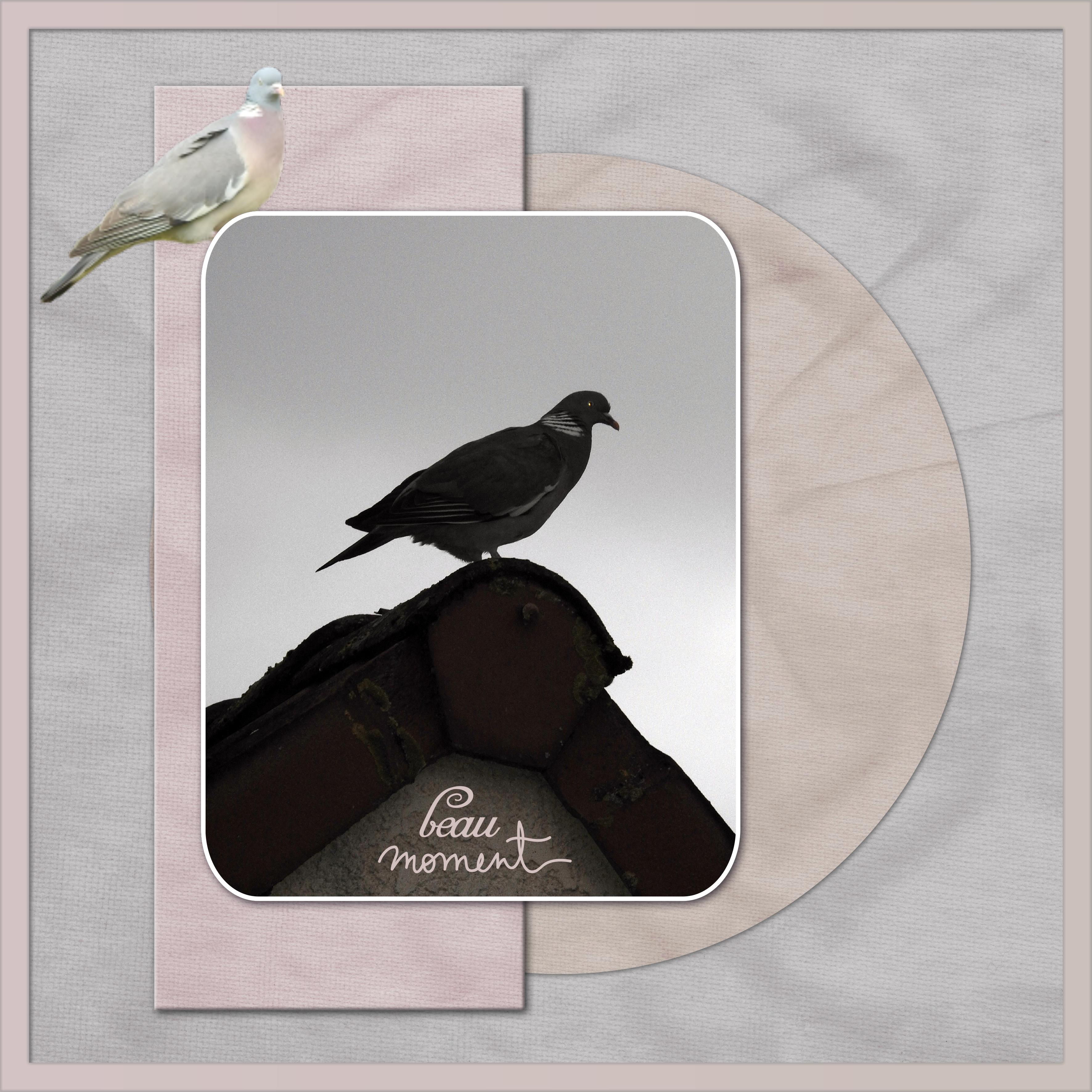 J-s100 - BEAU MOMENT.jpg