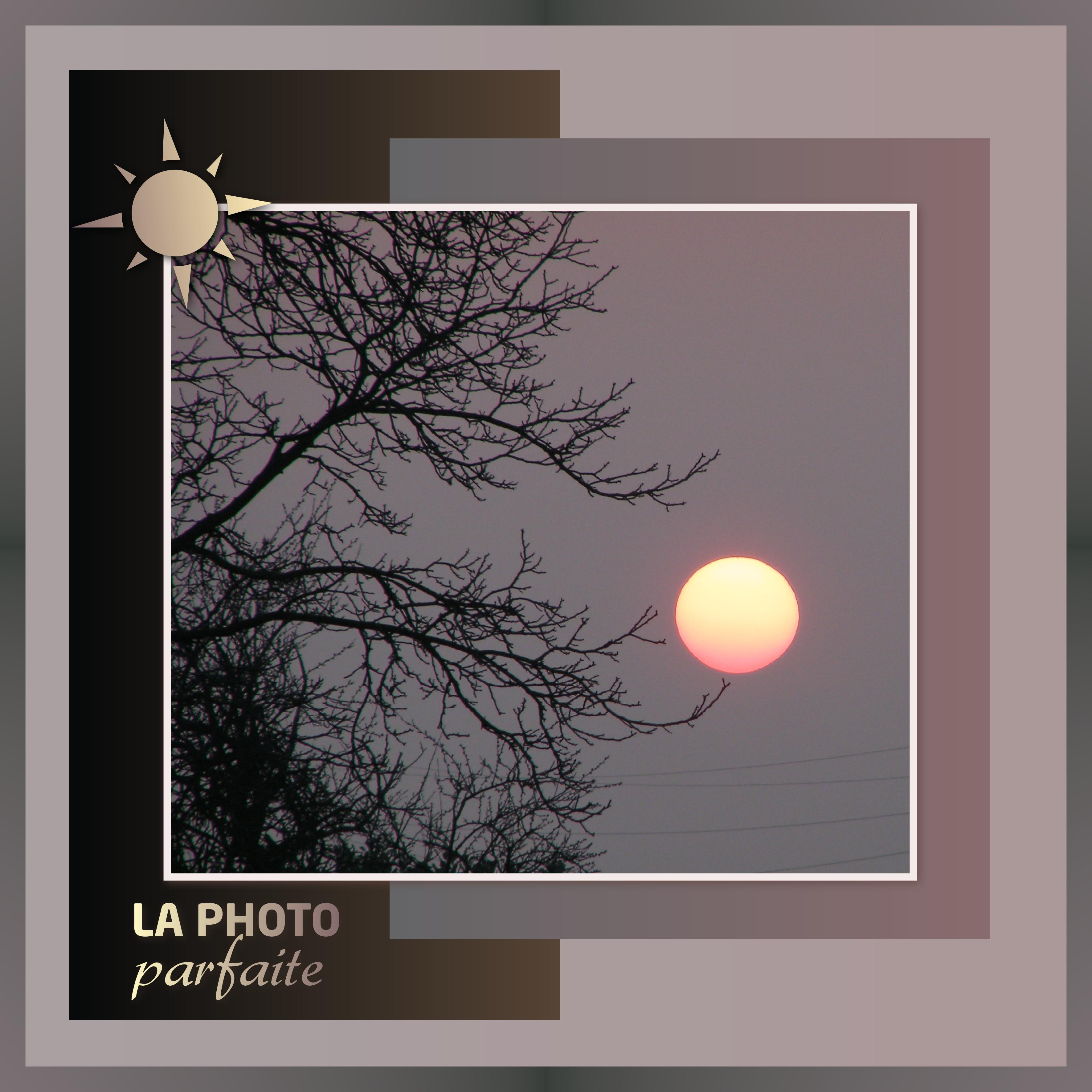 J-s101 - LA PHOTO PARFAITE.jpg