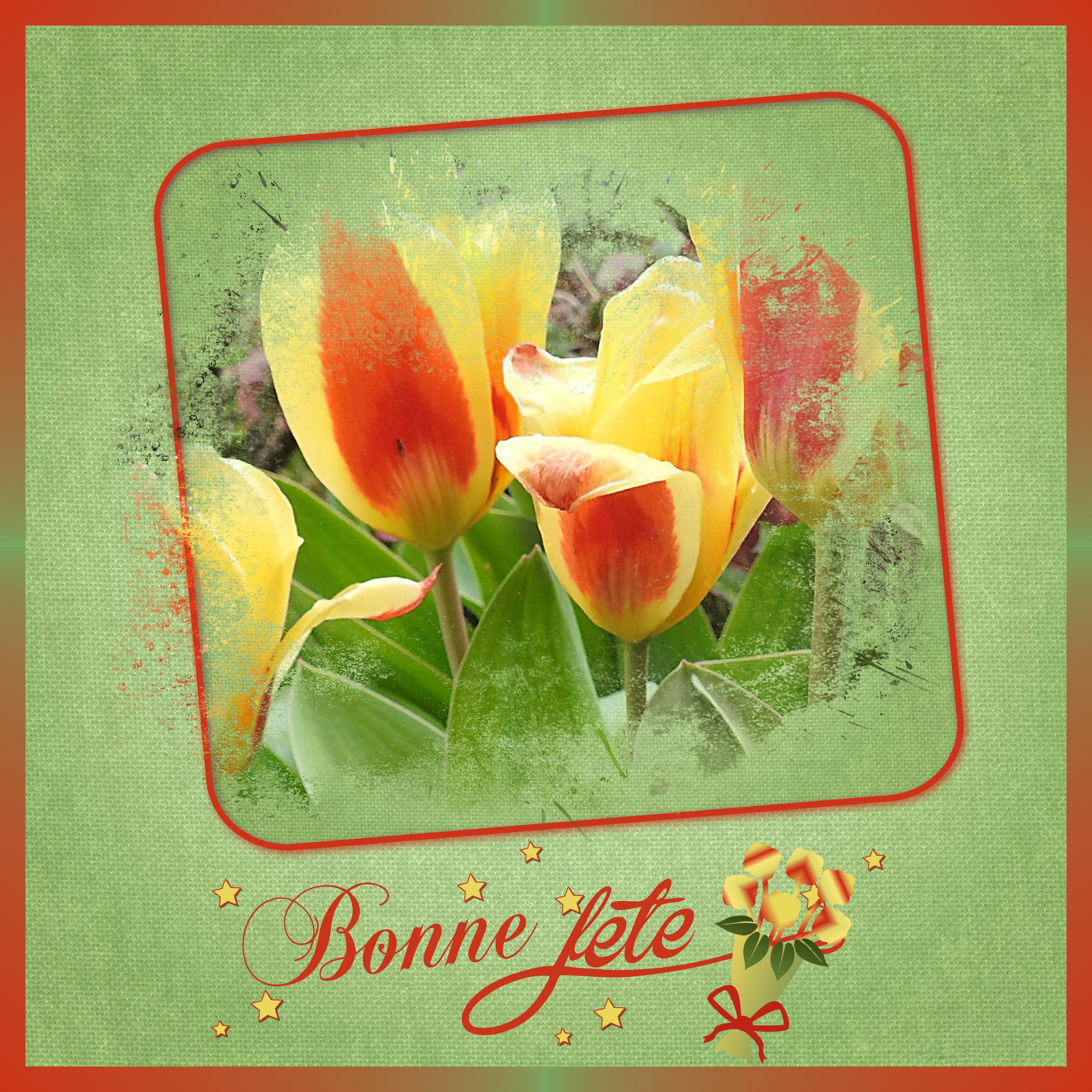 J-s106 - BONNE FETE.jpg