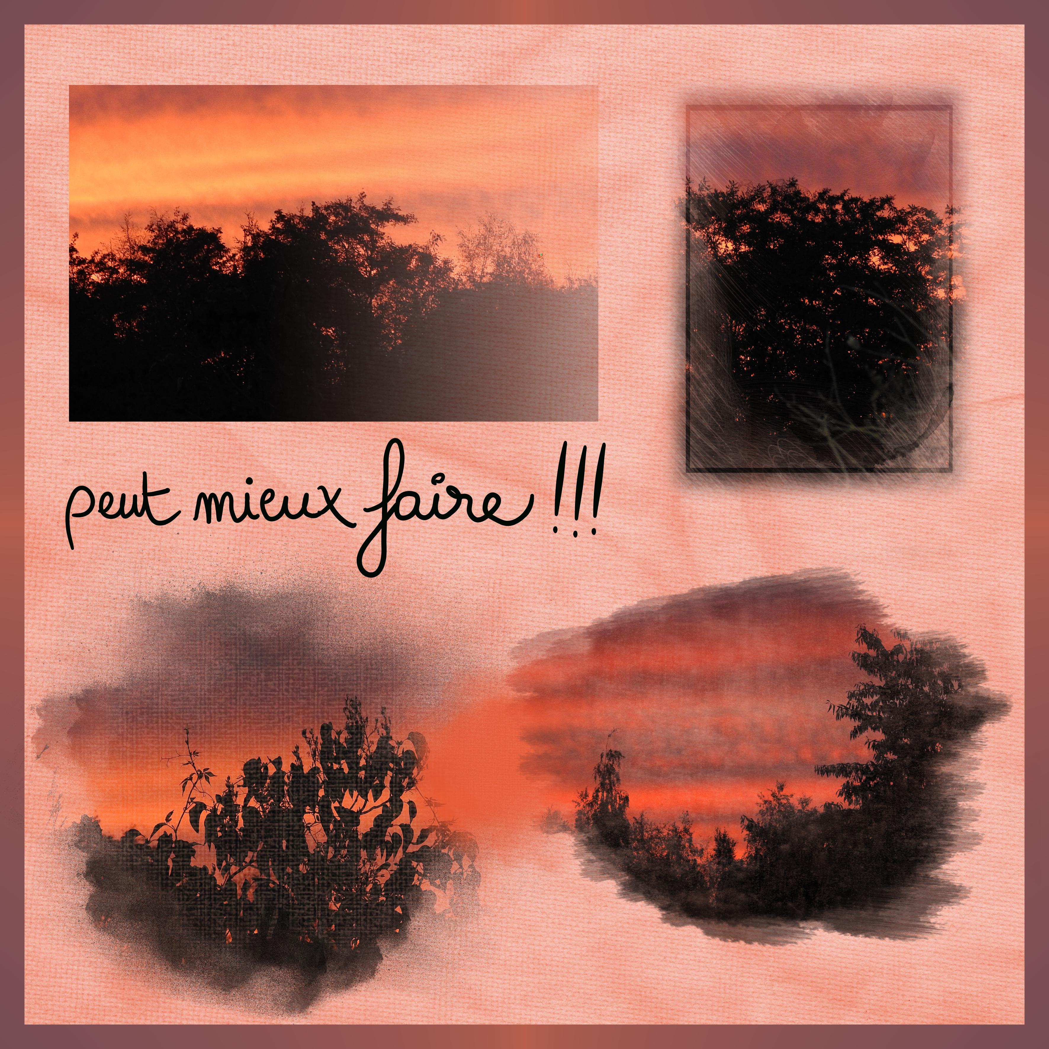 J-s110 - PEUT MIEUX FAIRE.jpg