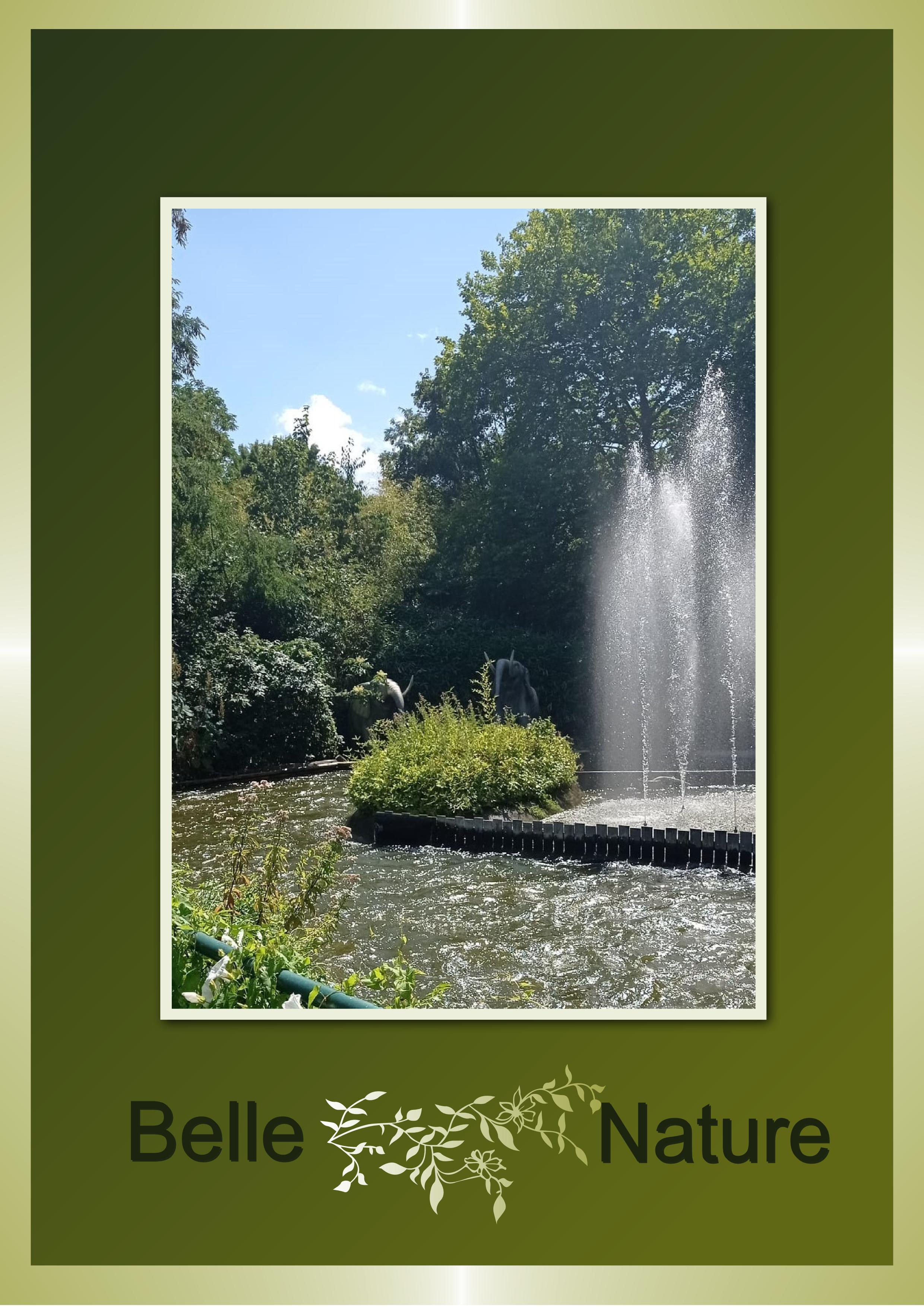 J-s112 - BELLE NATURE.jpg