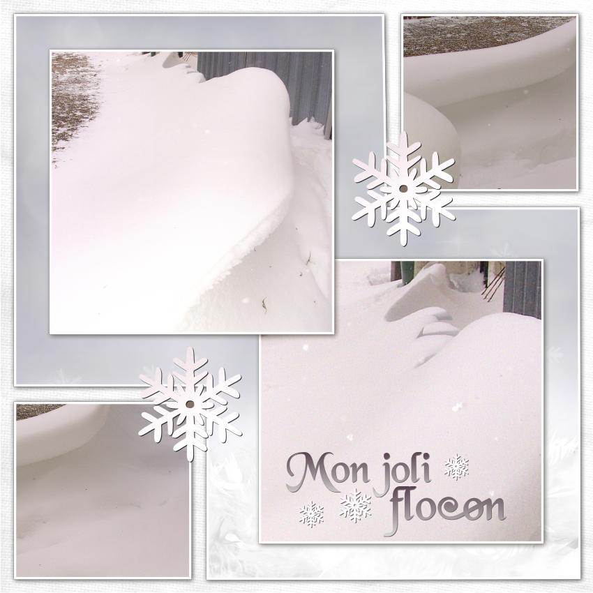 J-s119 - MON JOLI FLOCON.jpg