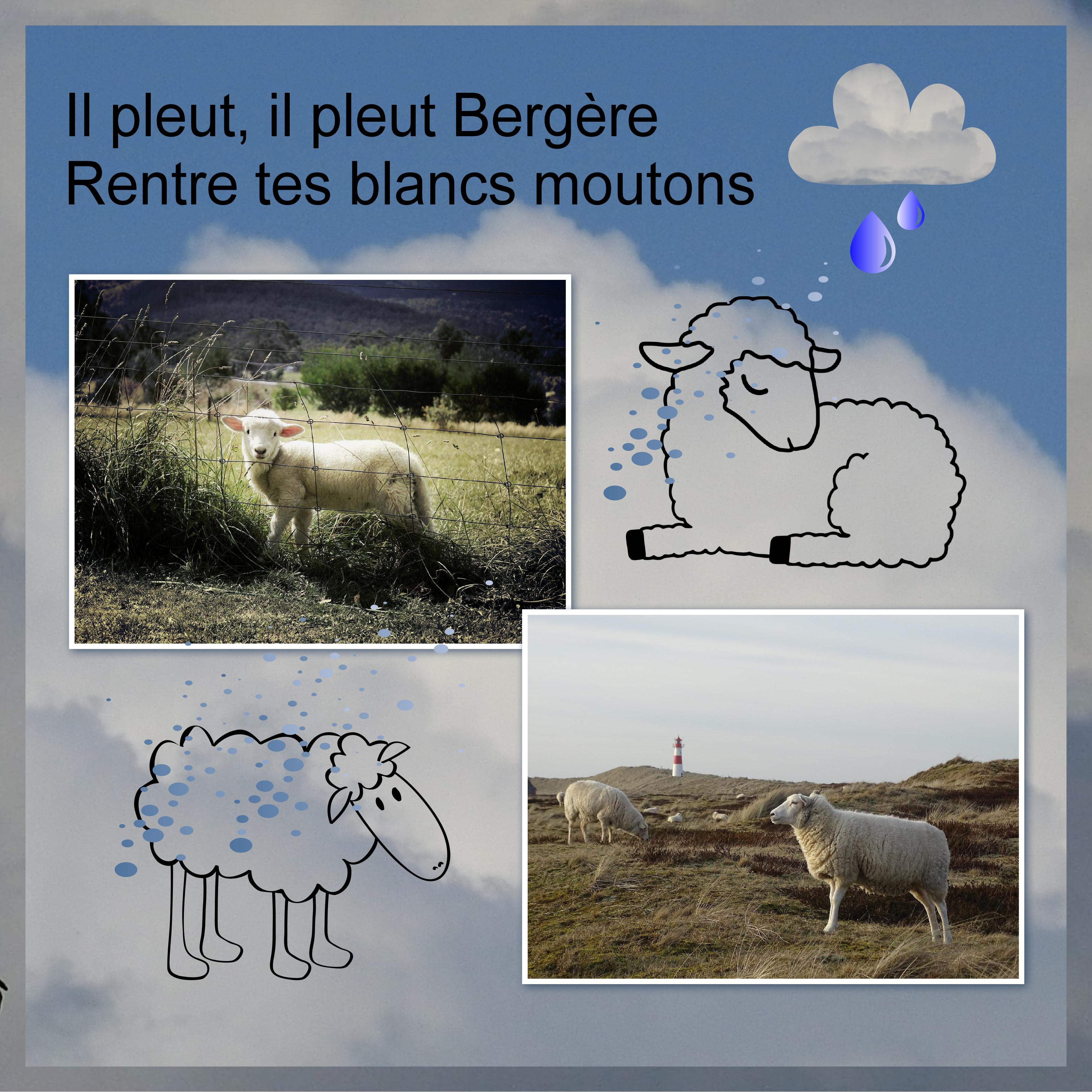 J-s12 - IL PLEUT-IL PLEUT ....jpg