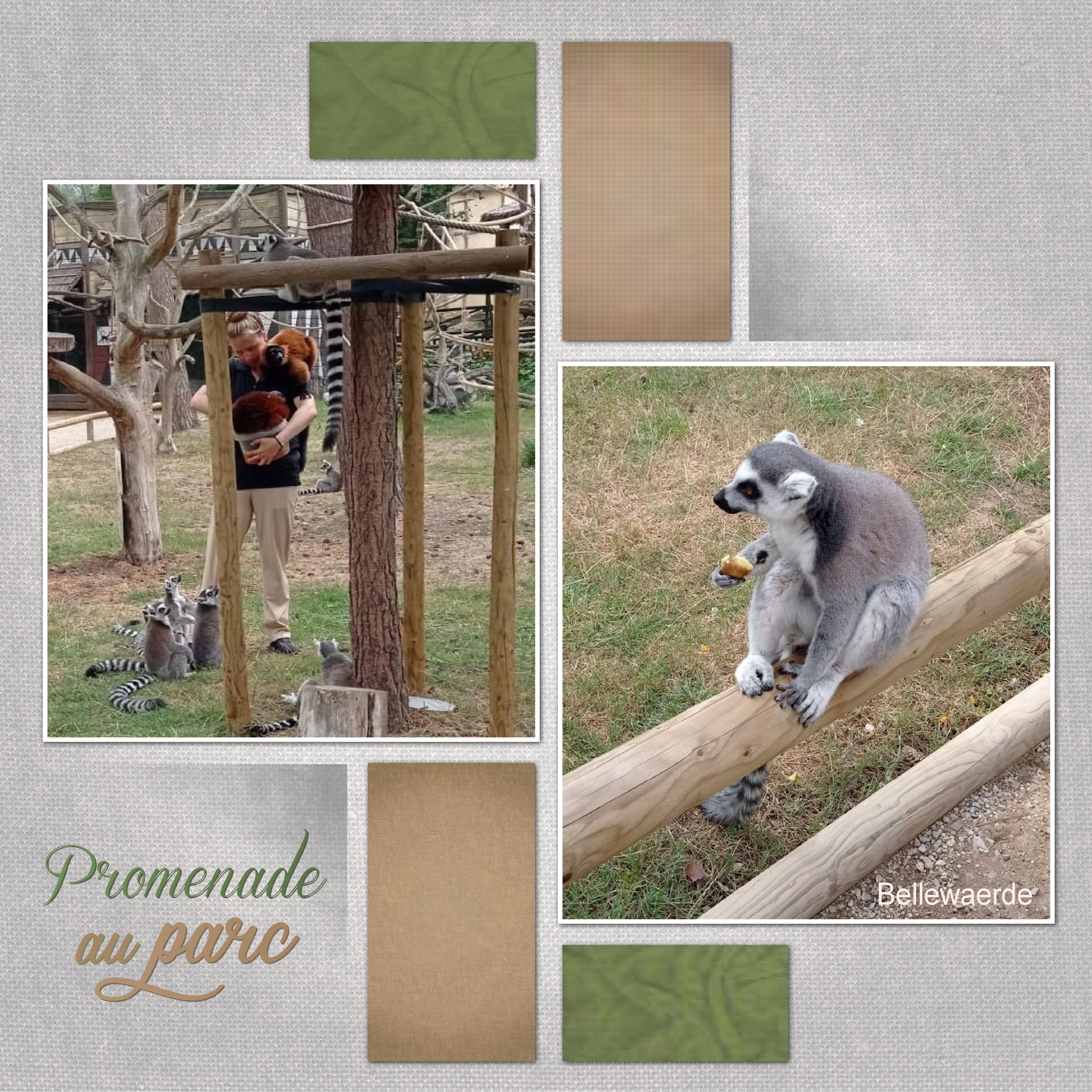 J-s120- PROMENADE AU PARC.jpg