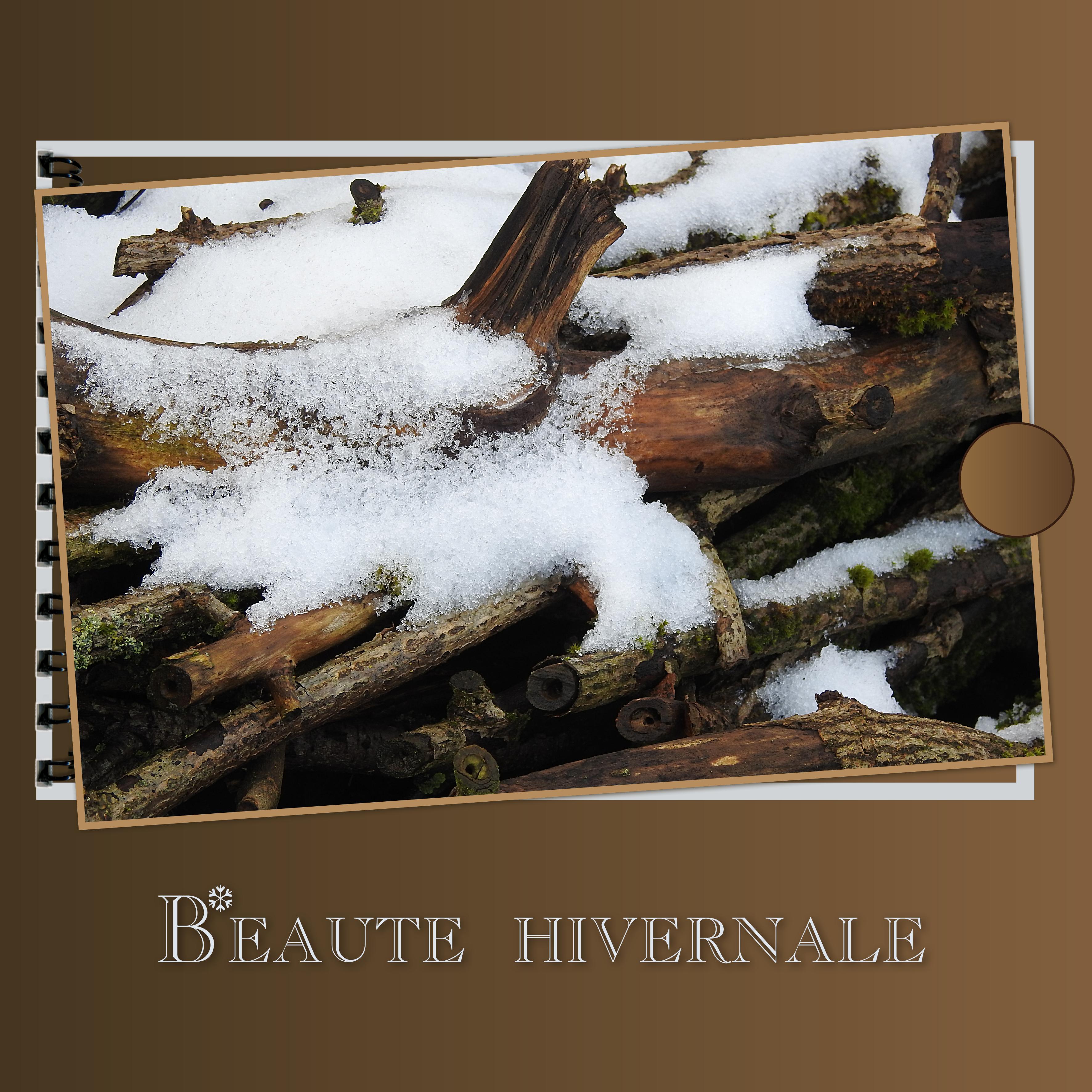 J-s15 - BEAUTE HIVERNALE.jpg