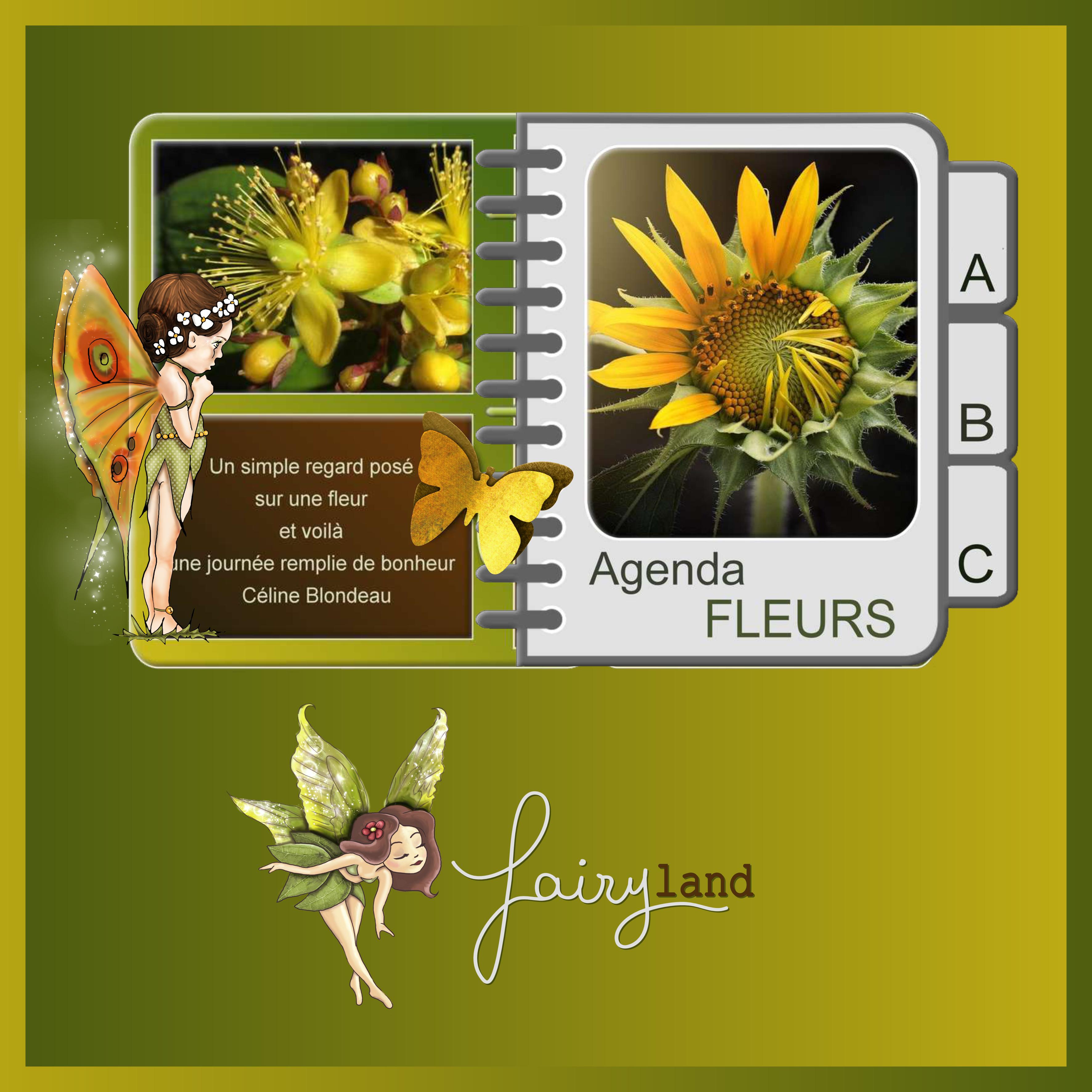 J-s167 - FAIRY LAND.jpg