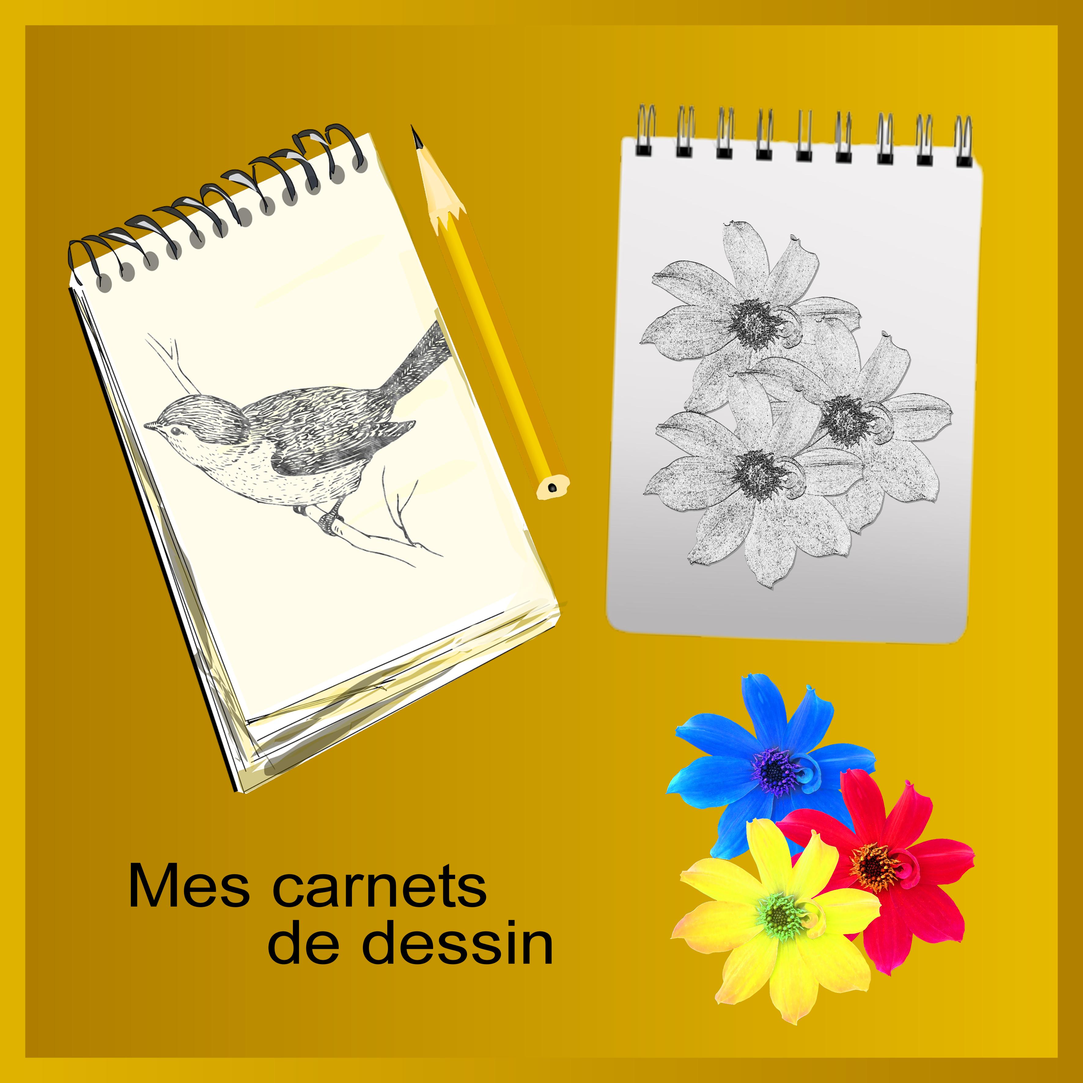 J-s168 - MES CARNETS DE DESSIN.jpg