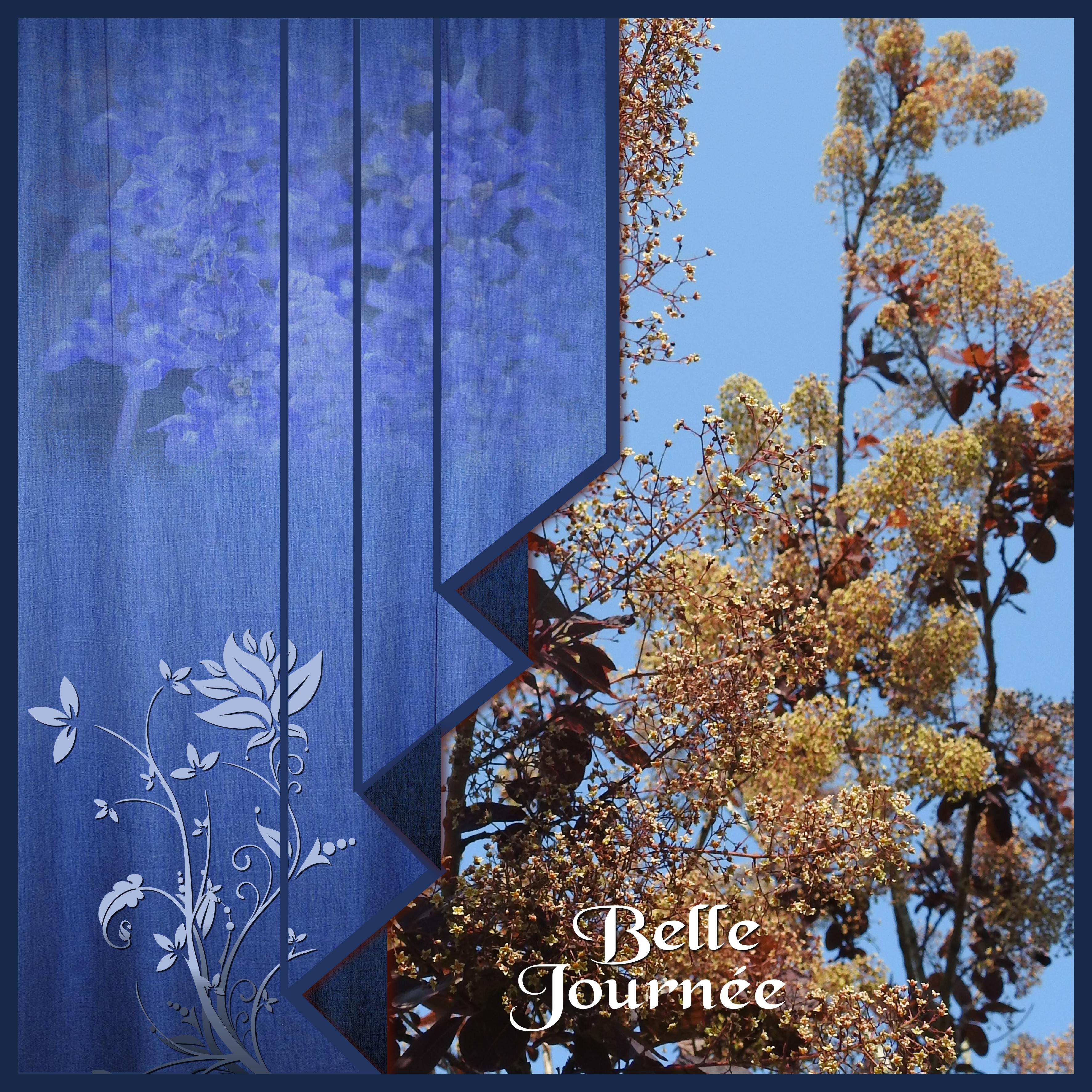 J-s169 - BELLE JOURNEE.jpg