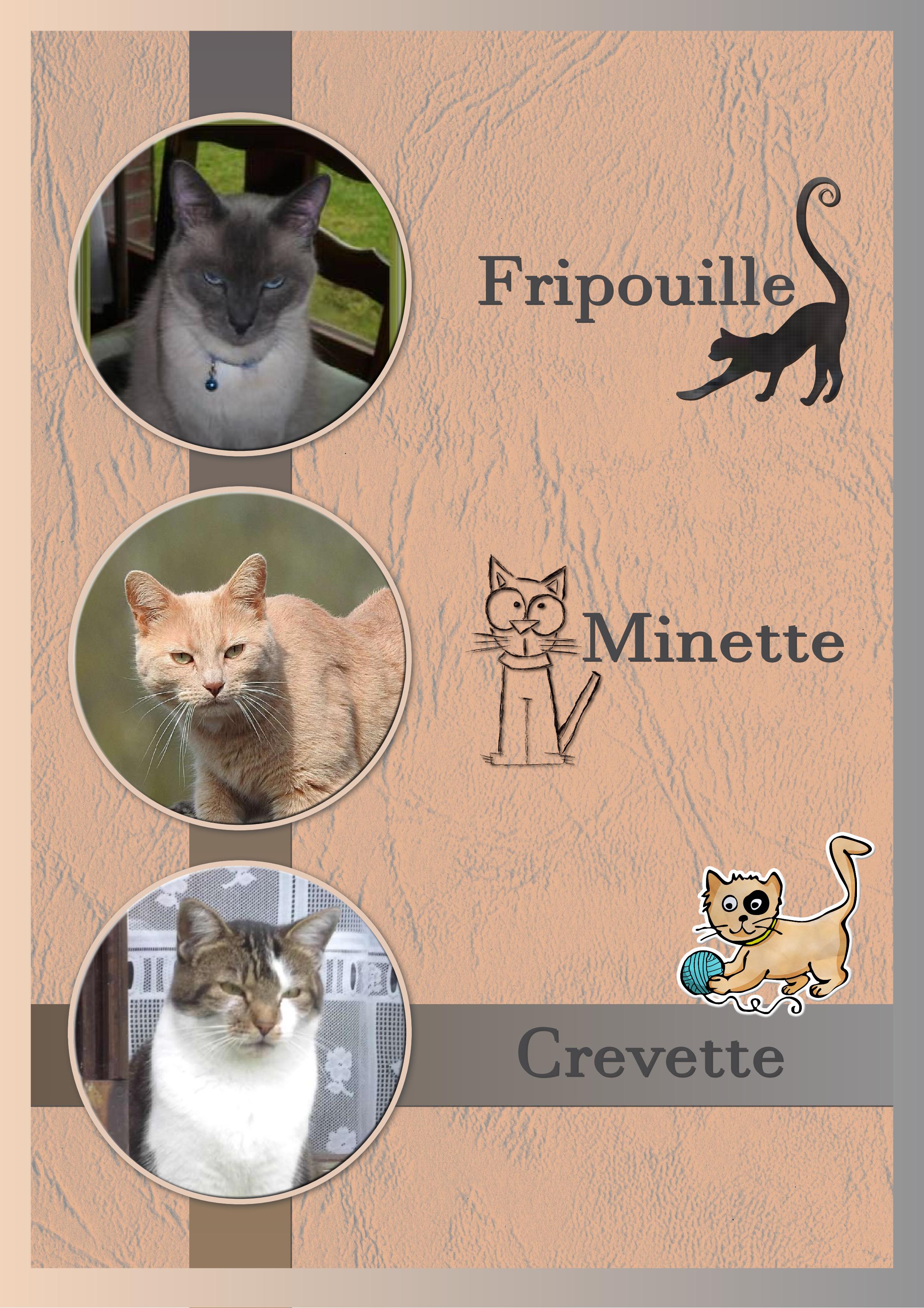 J-s173 FRIPOUILLE - MINETTE ET CREVETTE.jpg