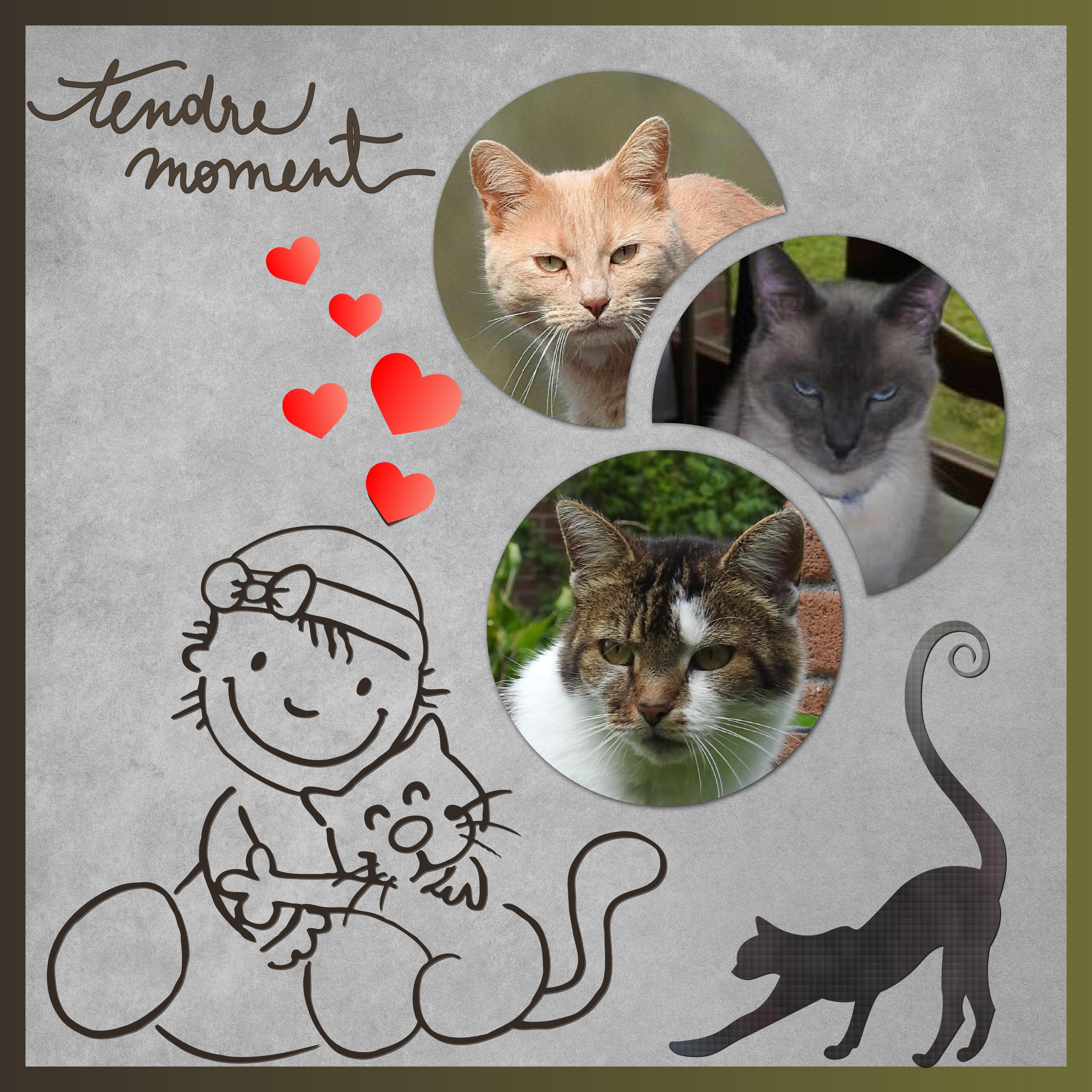 J-s174 - TENDRE MOMENT.jpg