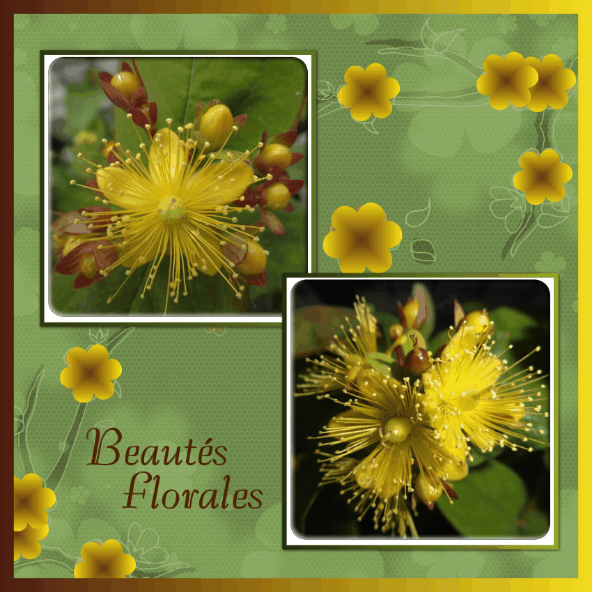 J-s181 - BEAUTES FLORALES.gif