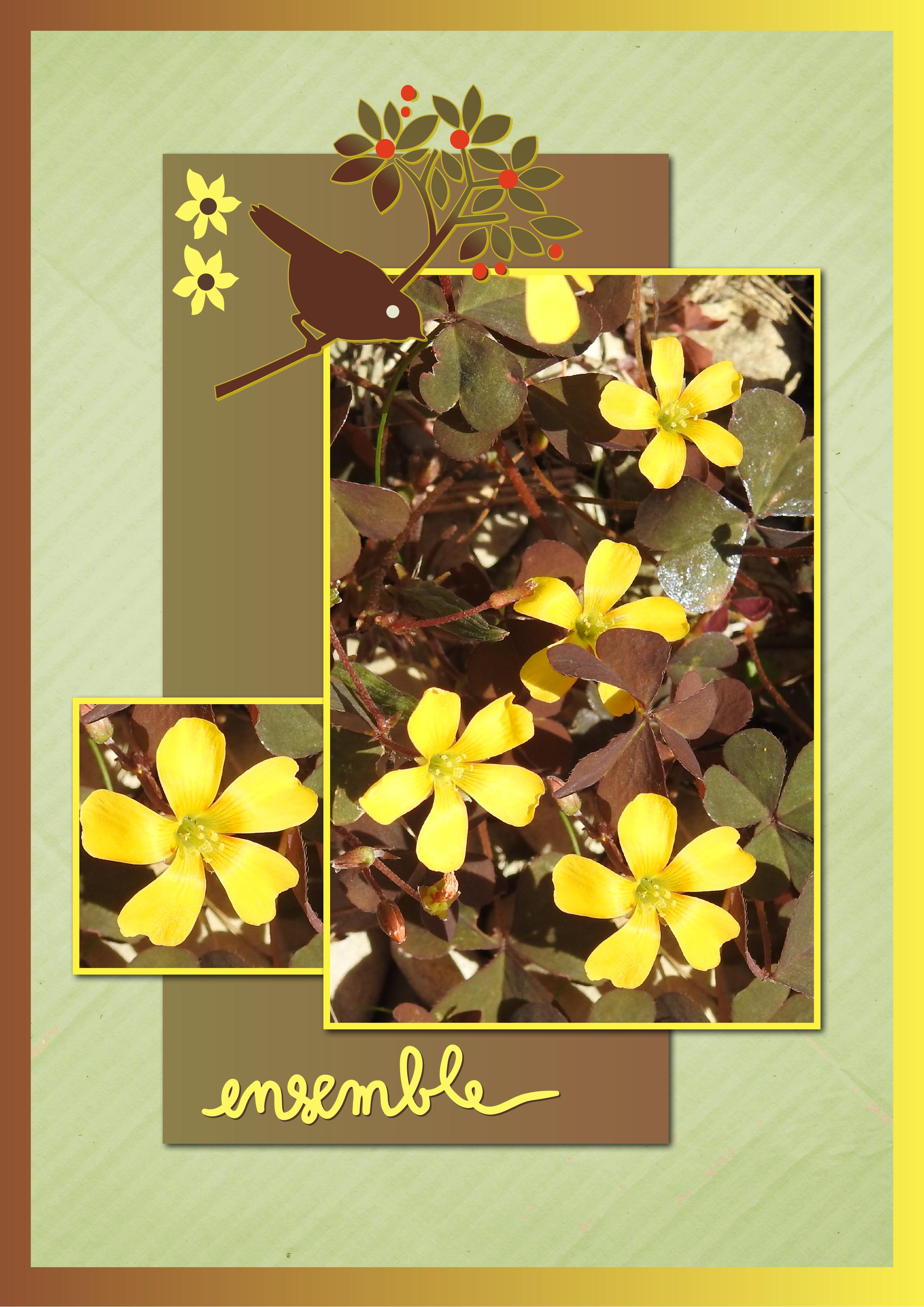 J-s183 - ENSEMBLE.jpg