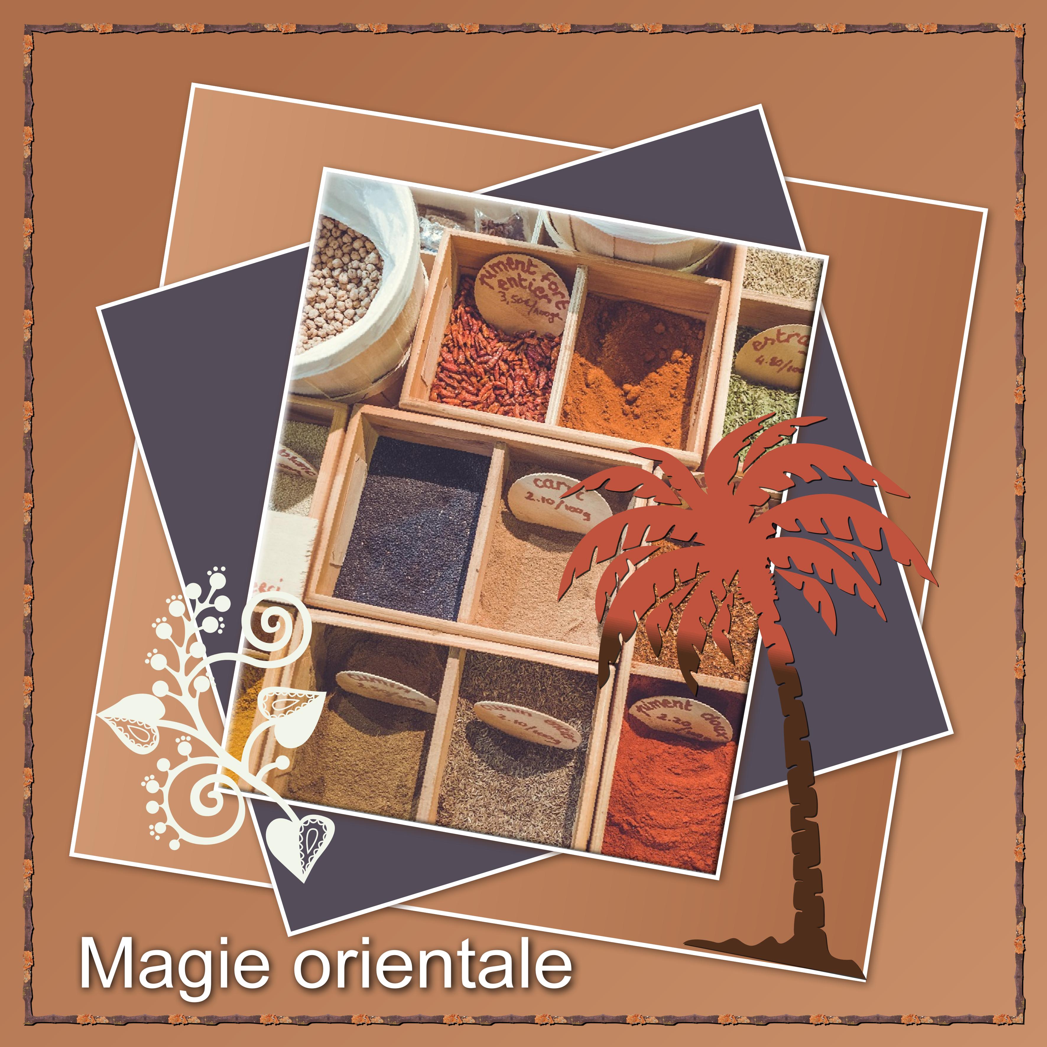J-s195 - MAGIE ORIENTALE.jpg