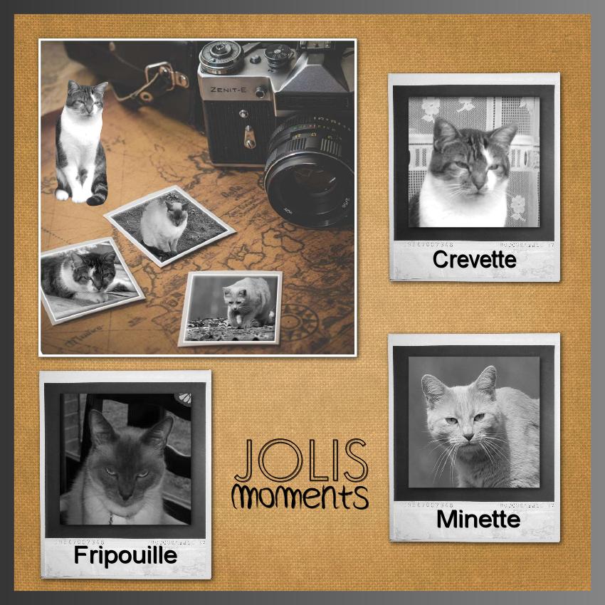 J-s203 - JOLIS MOMENTS.jpg