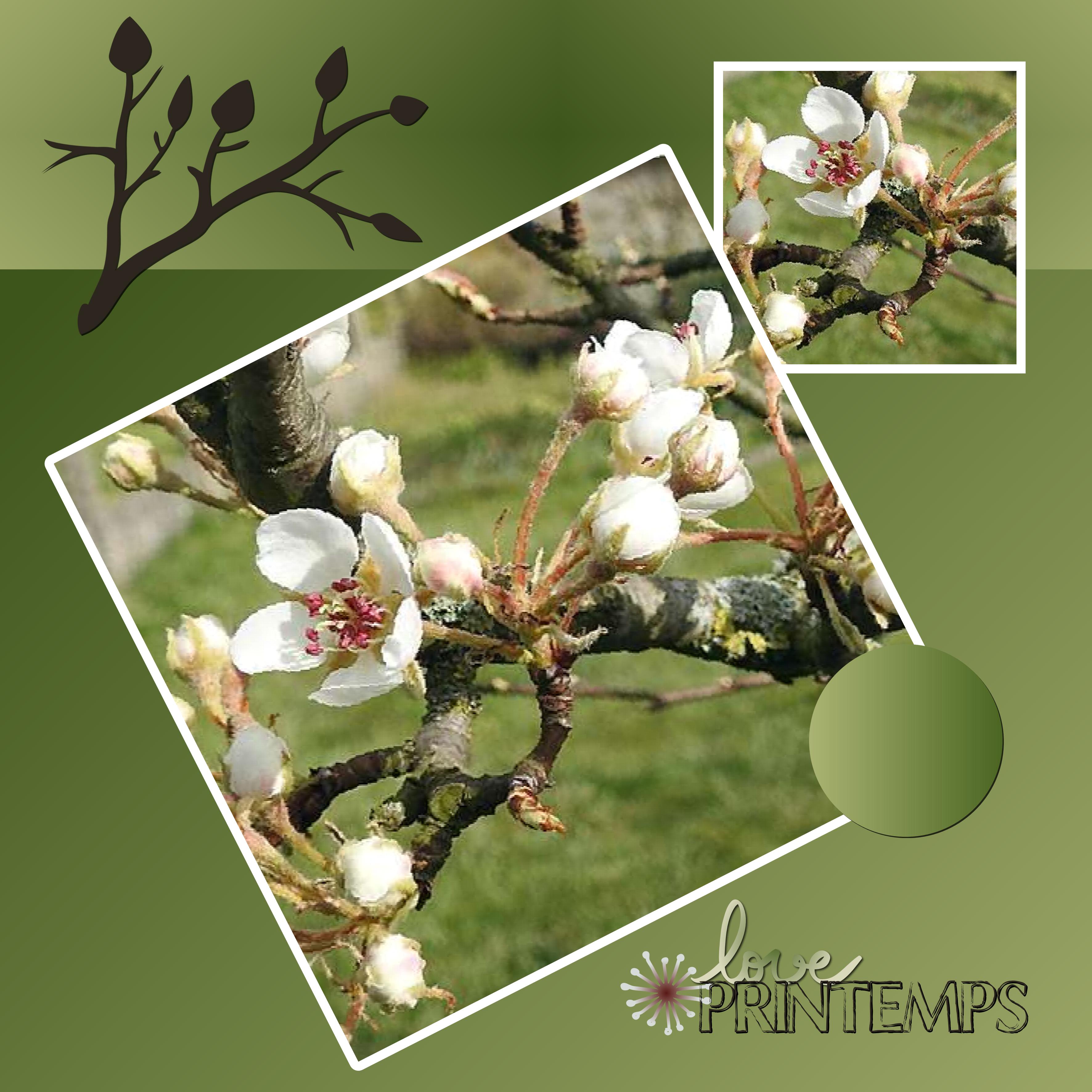 J-s21 - LOVE PRINTEMPS.jpg