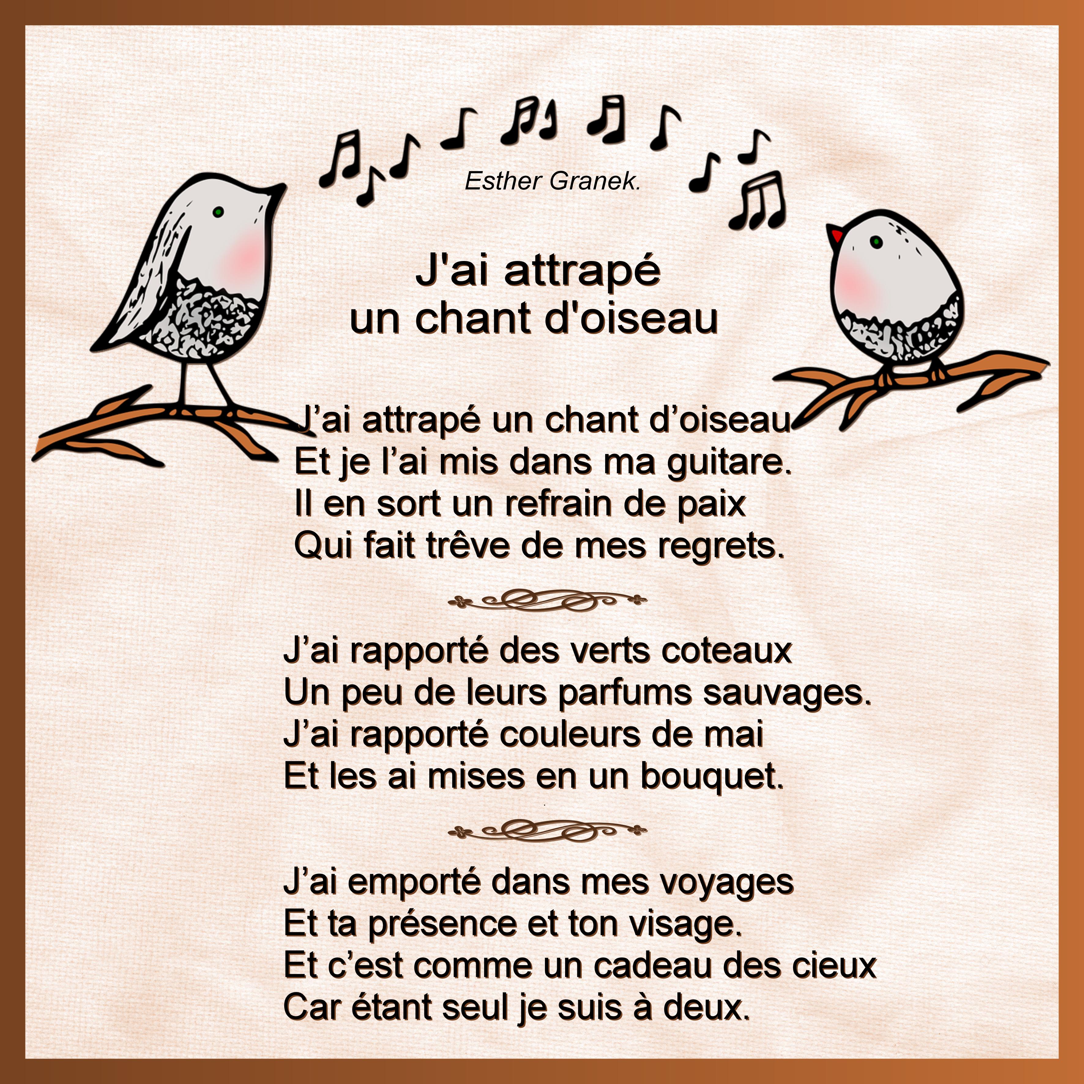 J-s210 - J'AI ATTRAPE UN CHANT D'OISEAU.jpg