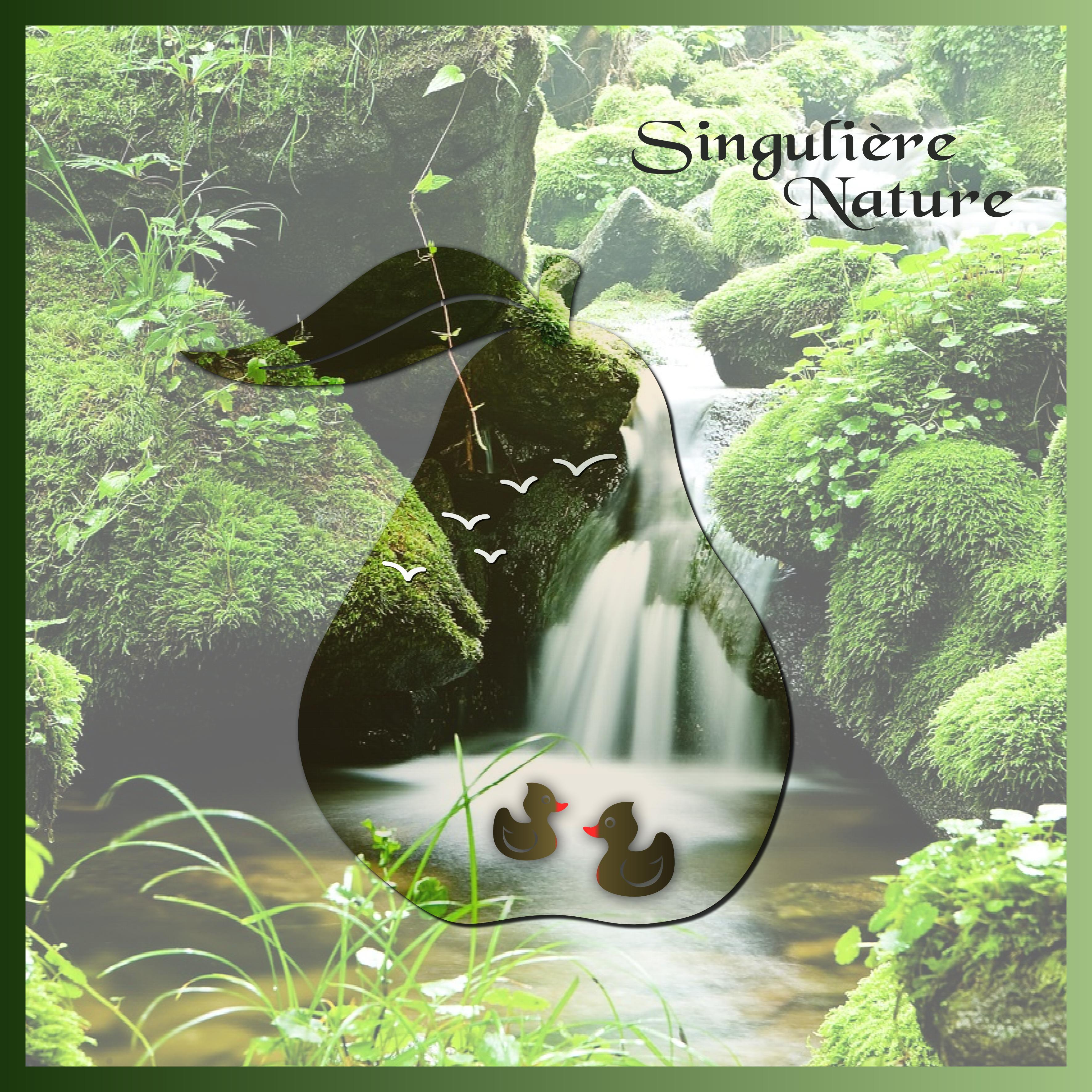 J-s212 - SINGULIERE NATURE.jpg