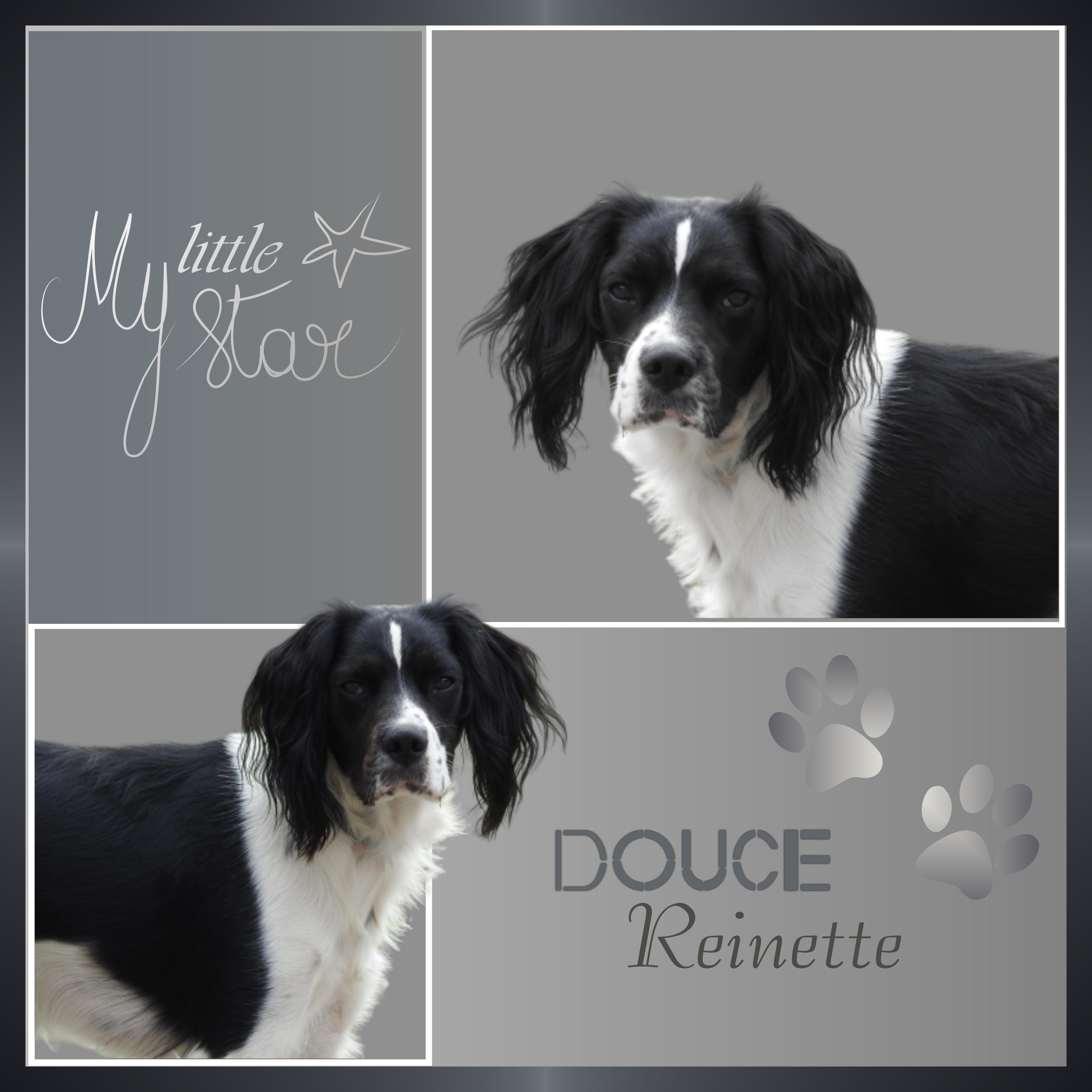 J-s25 - MY LITTLE STAR.jpg