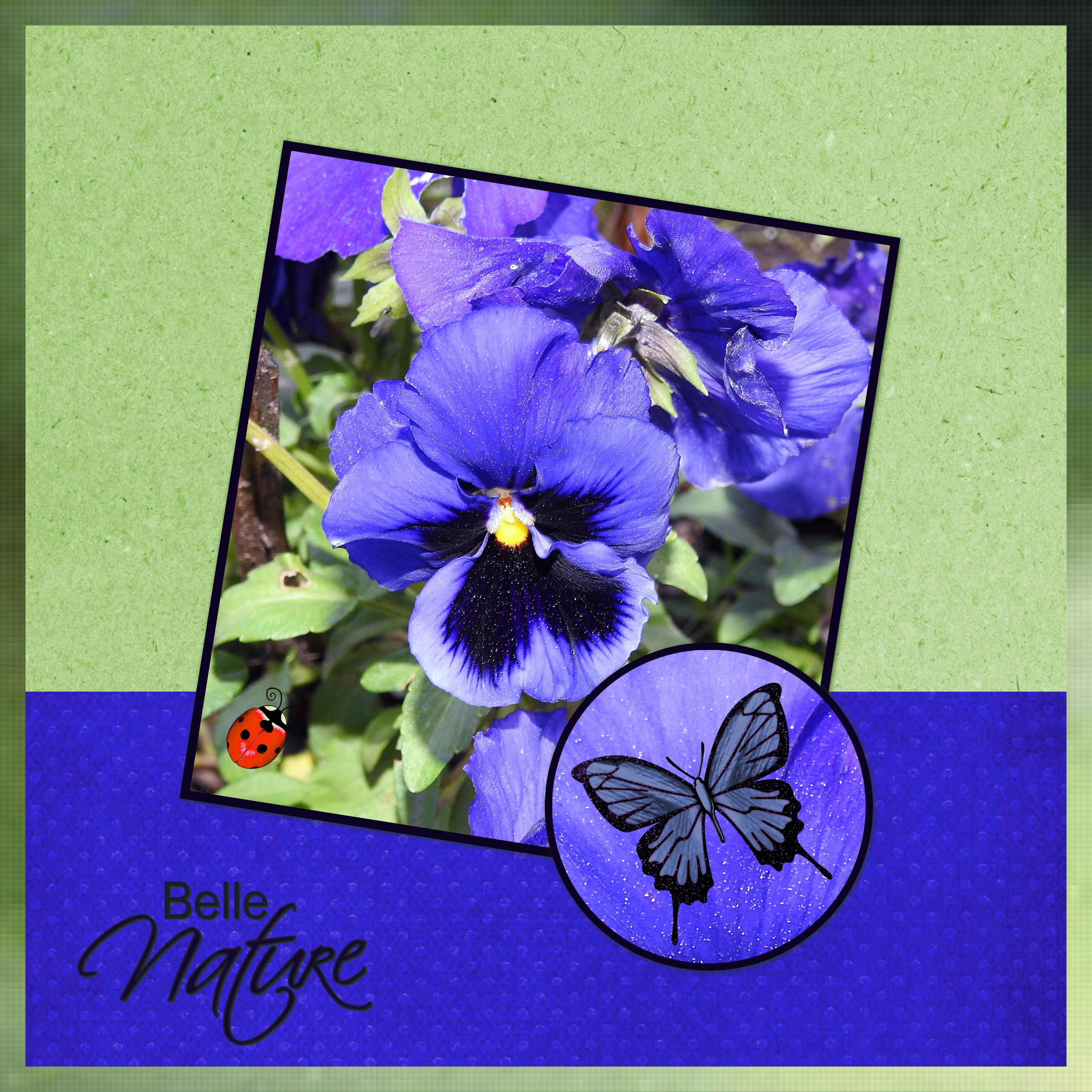 J-s260 - BELLE NATURE.jpg